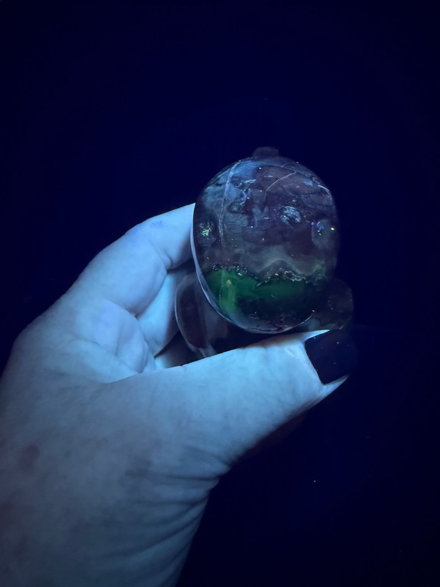 Volcano Agate T-Rex Dino