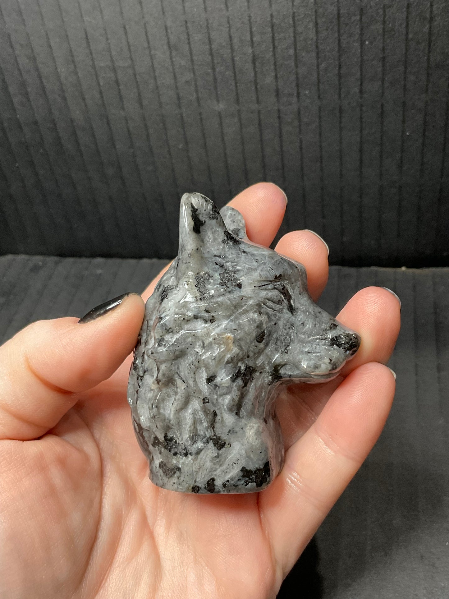 Larvikite Wolf Head
