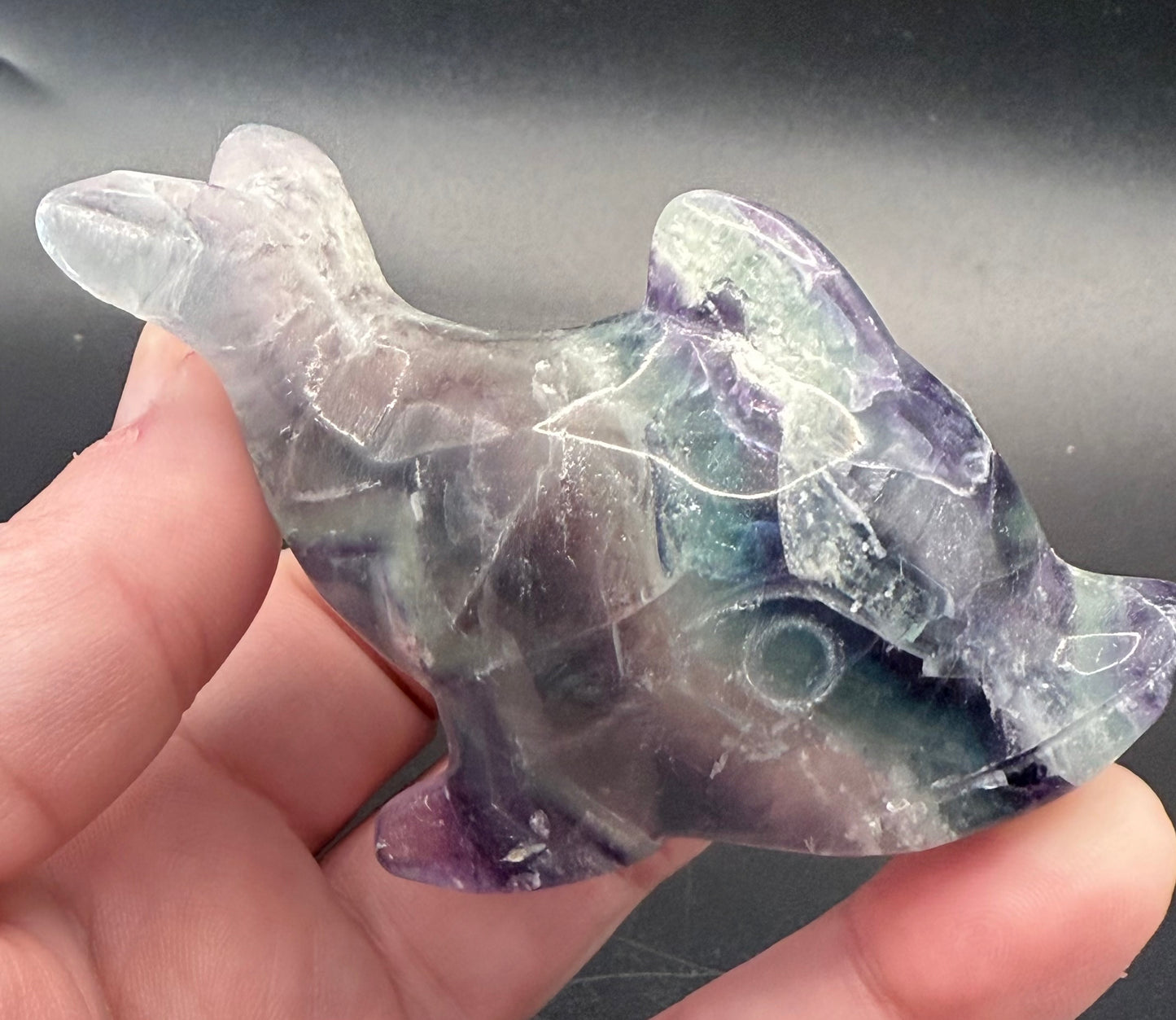 Rainbow Fluorite Dolphin Carving ā 172g | 8.6 x 4.7cm