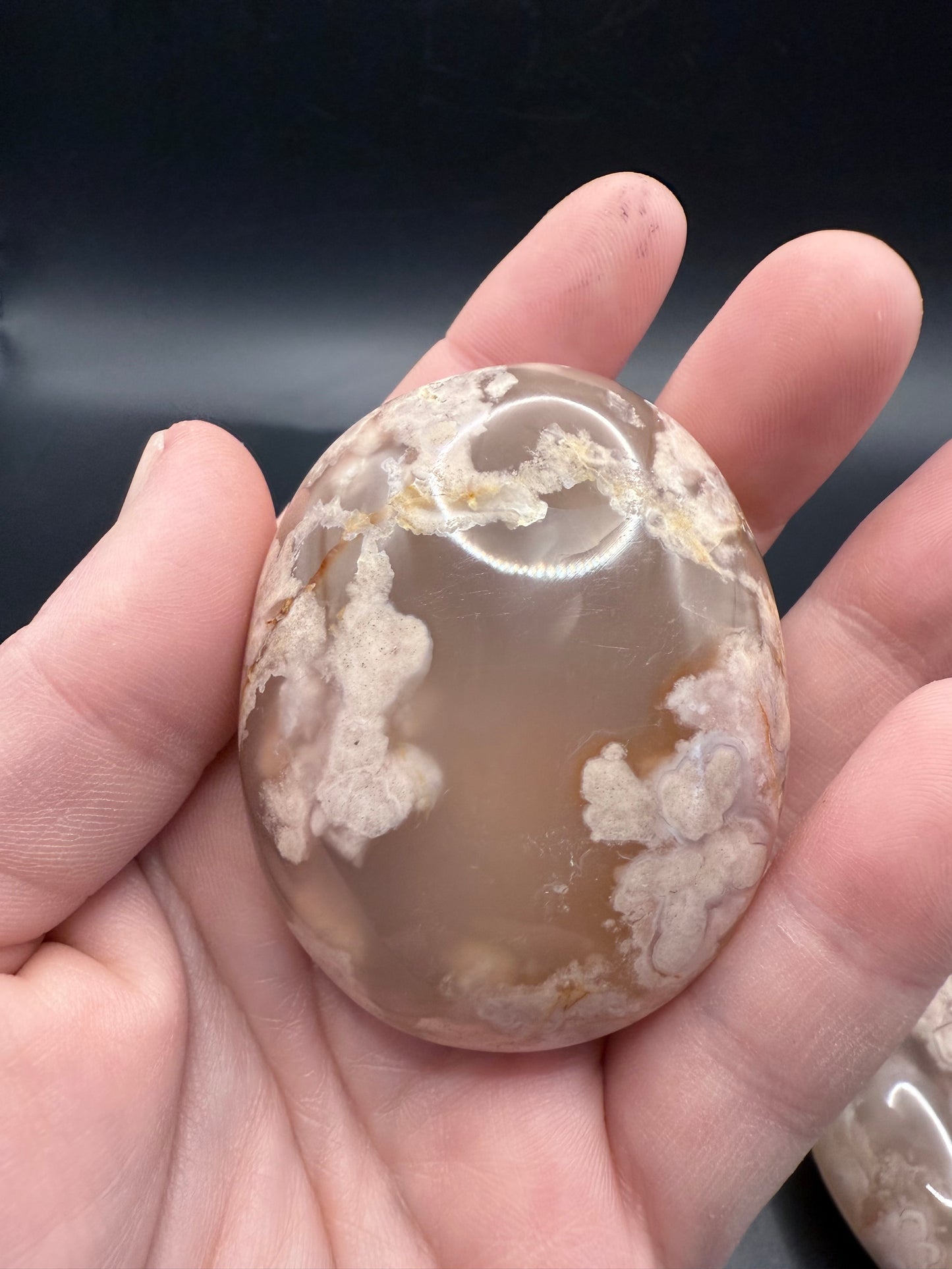 Flower Agate Palm Stone 🌸 Larger Size