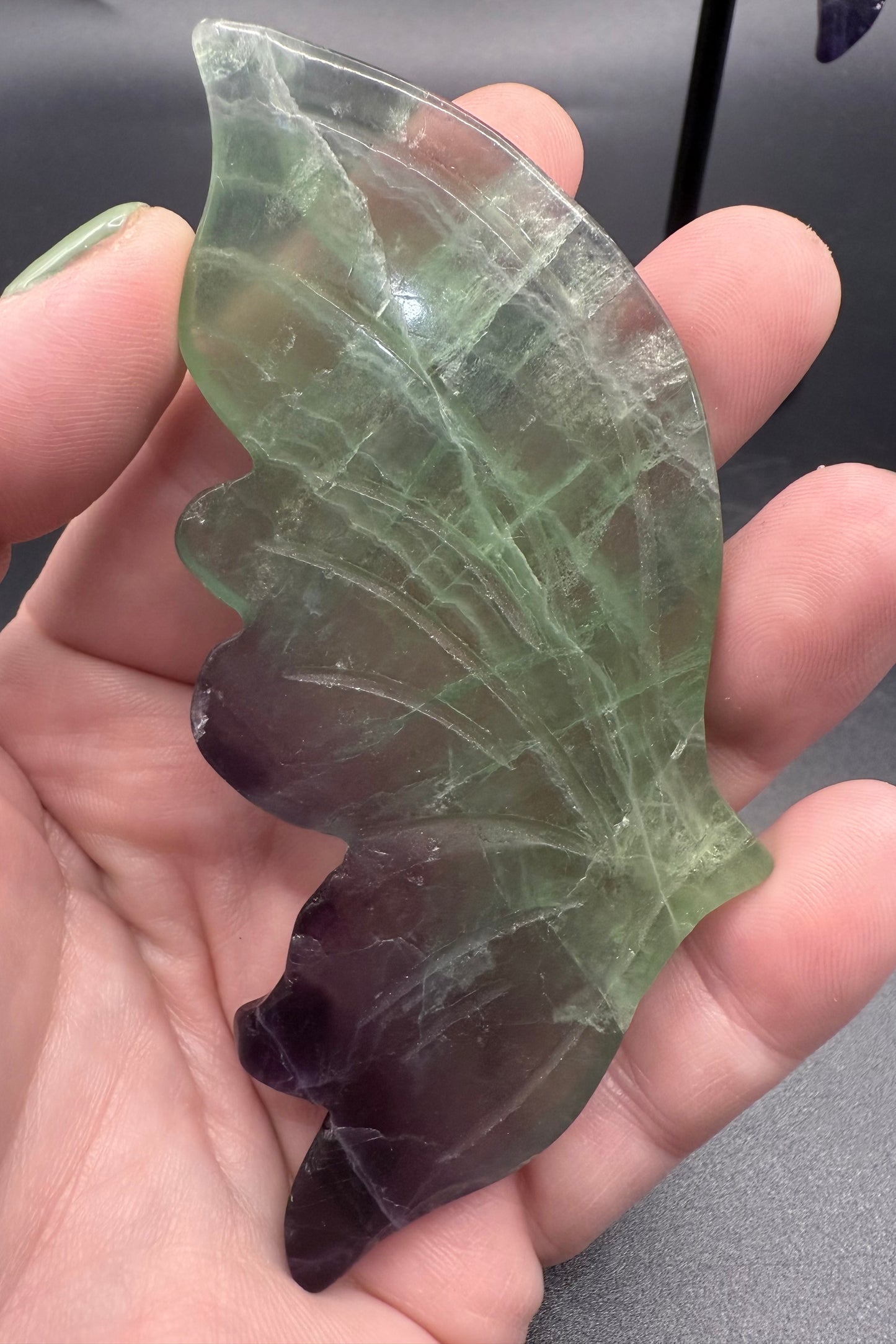Rainbow Fluorite Butterfly with Stand
