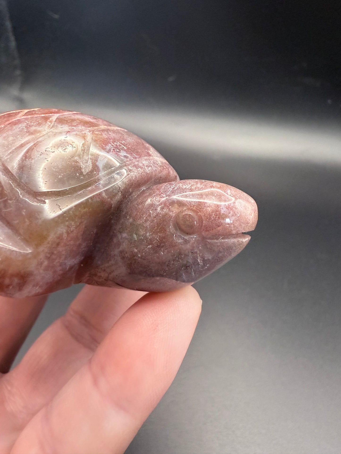 Ocean Jasper Turtle