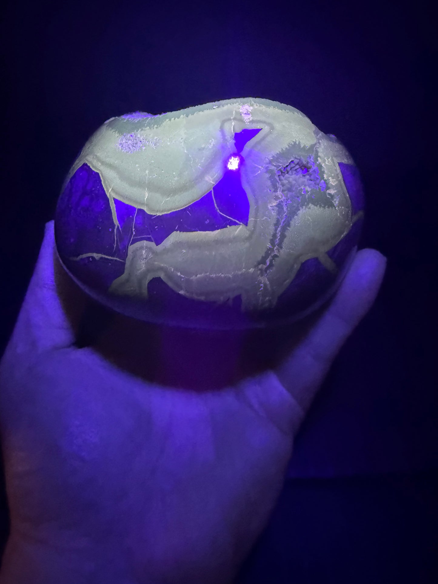 Septarian/dino Egg