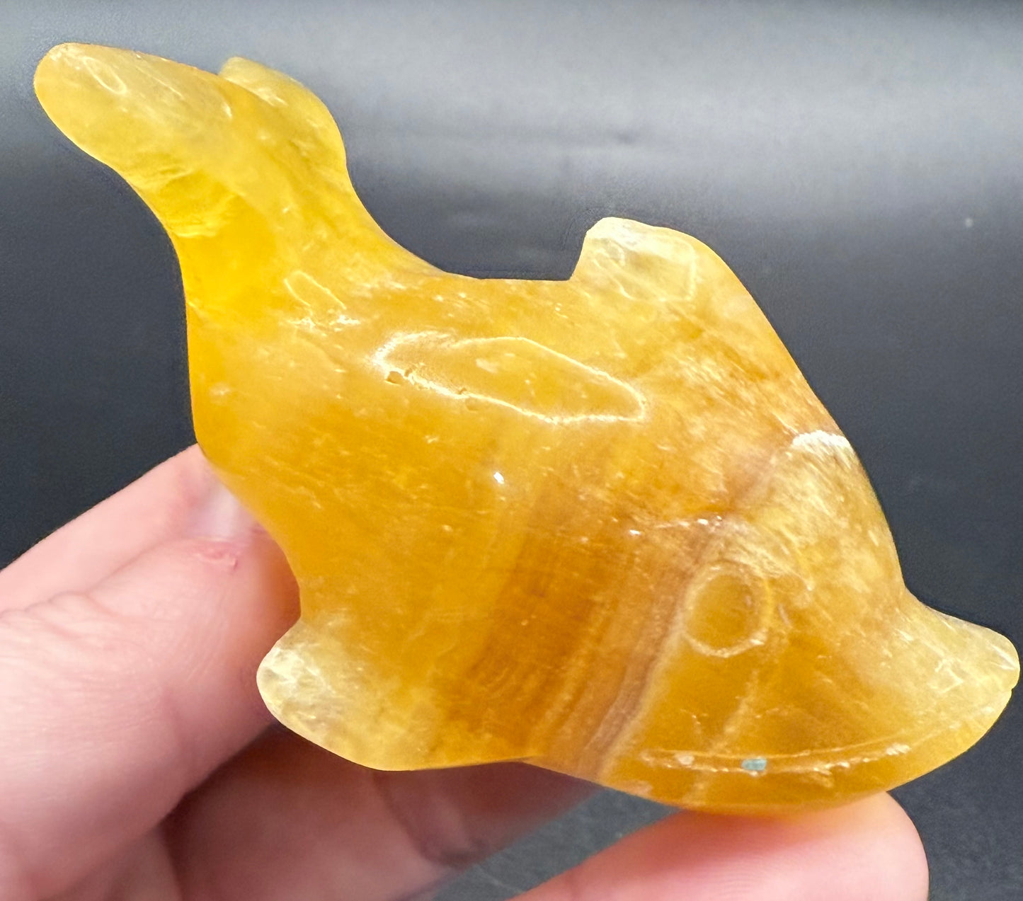 Golden Yellow Fluorite Dolphin Carving โ 152g | 8 x 4.1cm