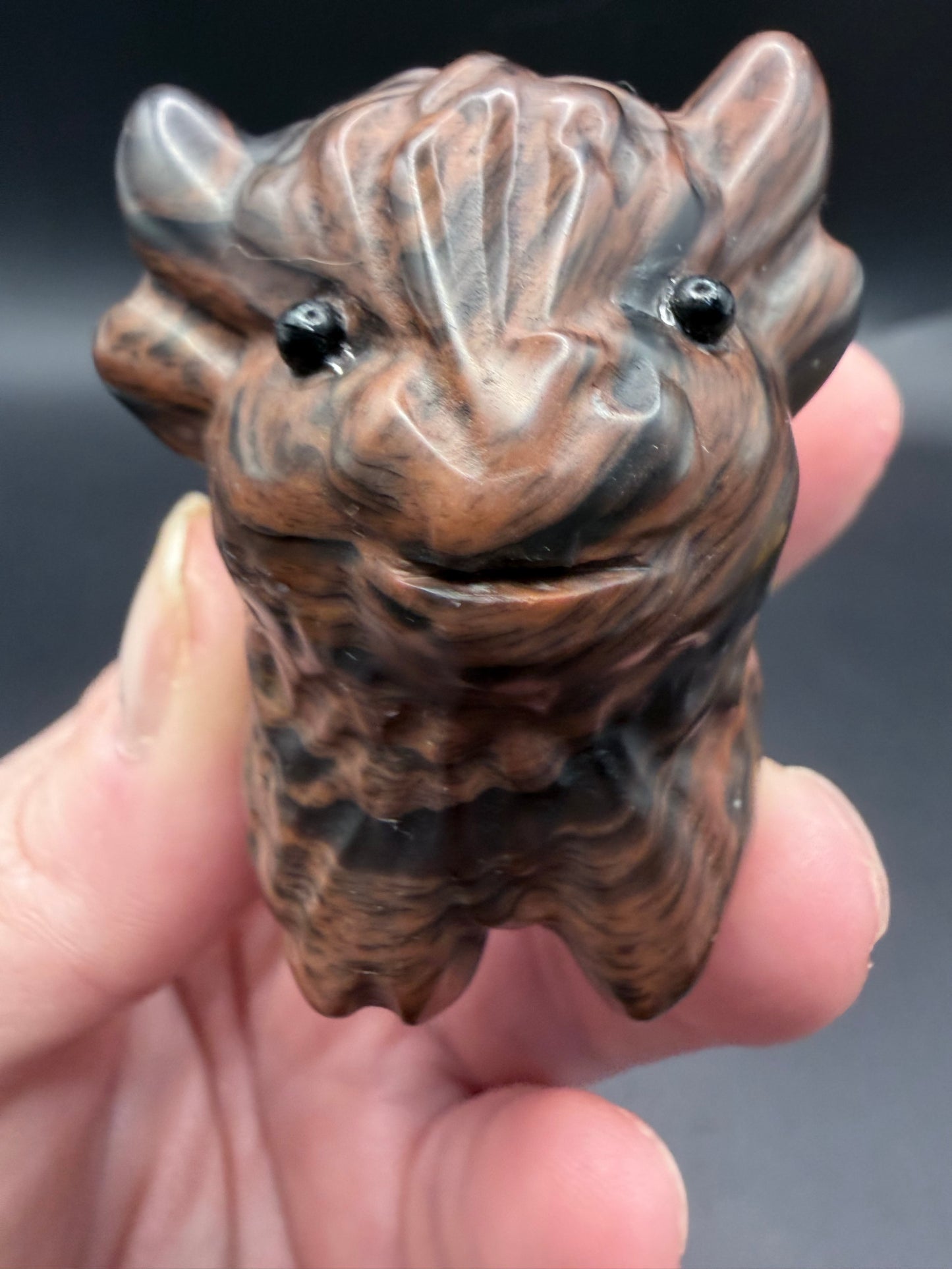 Mahogany Obsidian Highland Cow