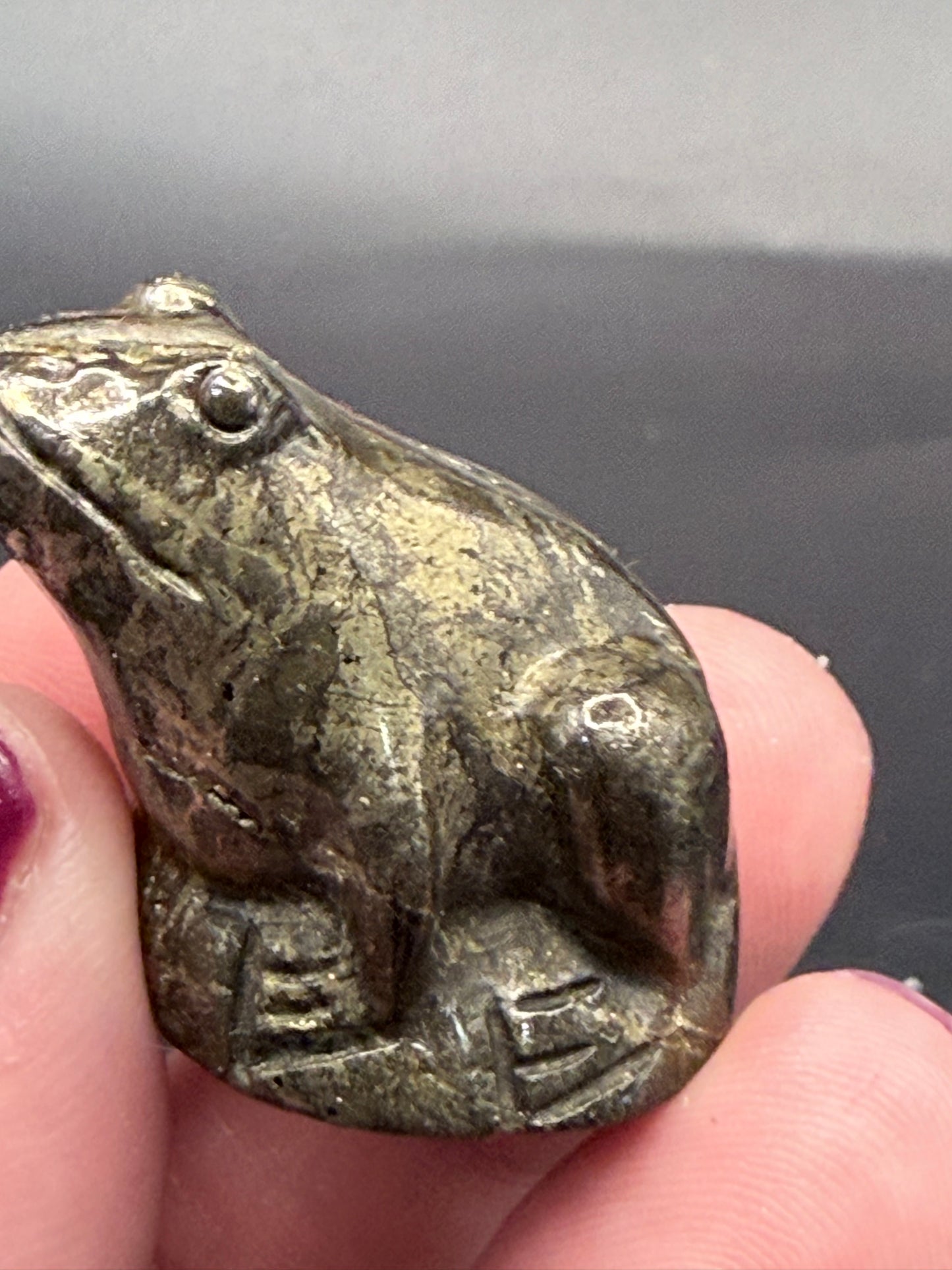 Pyrite Frog