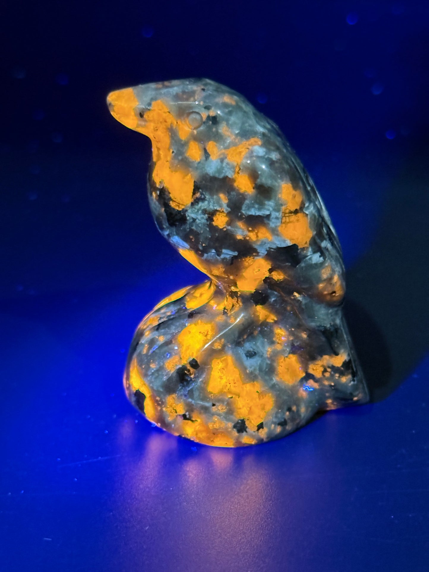 Yooperlite Raven Carving β UV Reactive
