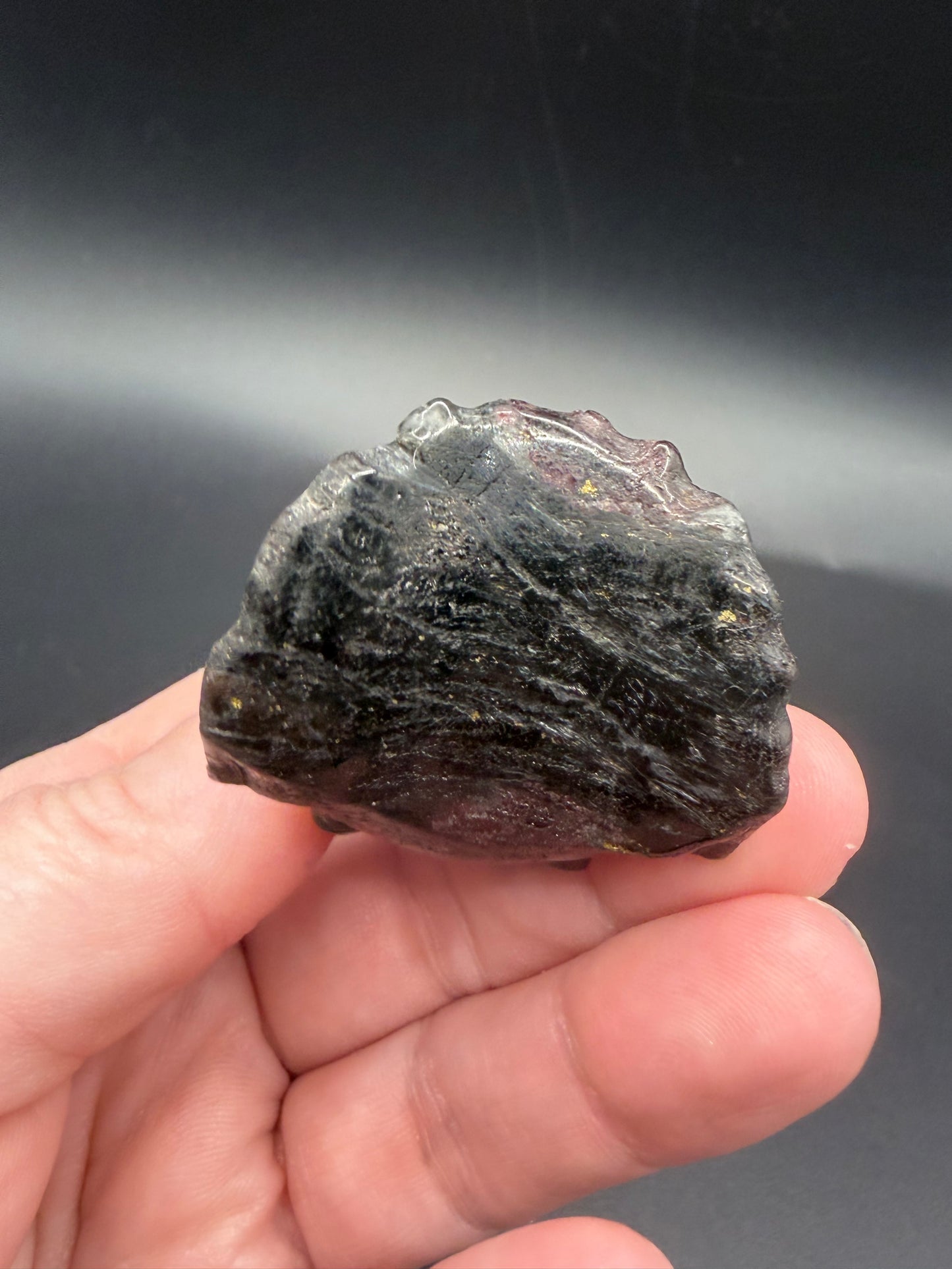 Garnet in Schist Triceratops – Crystal Carving (5cm)