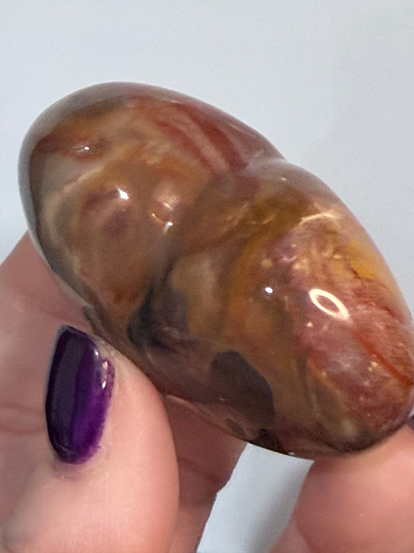 Petrified Wood Heart 🤎 B