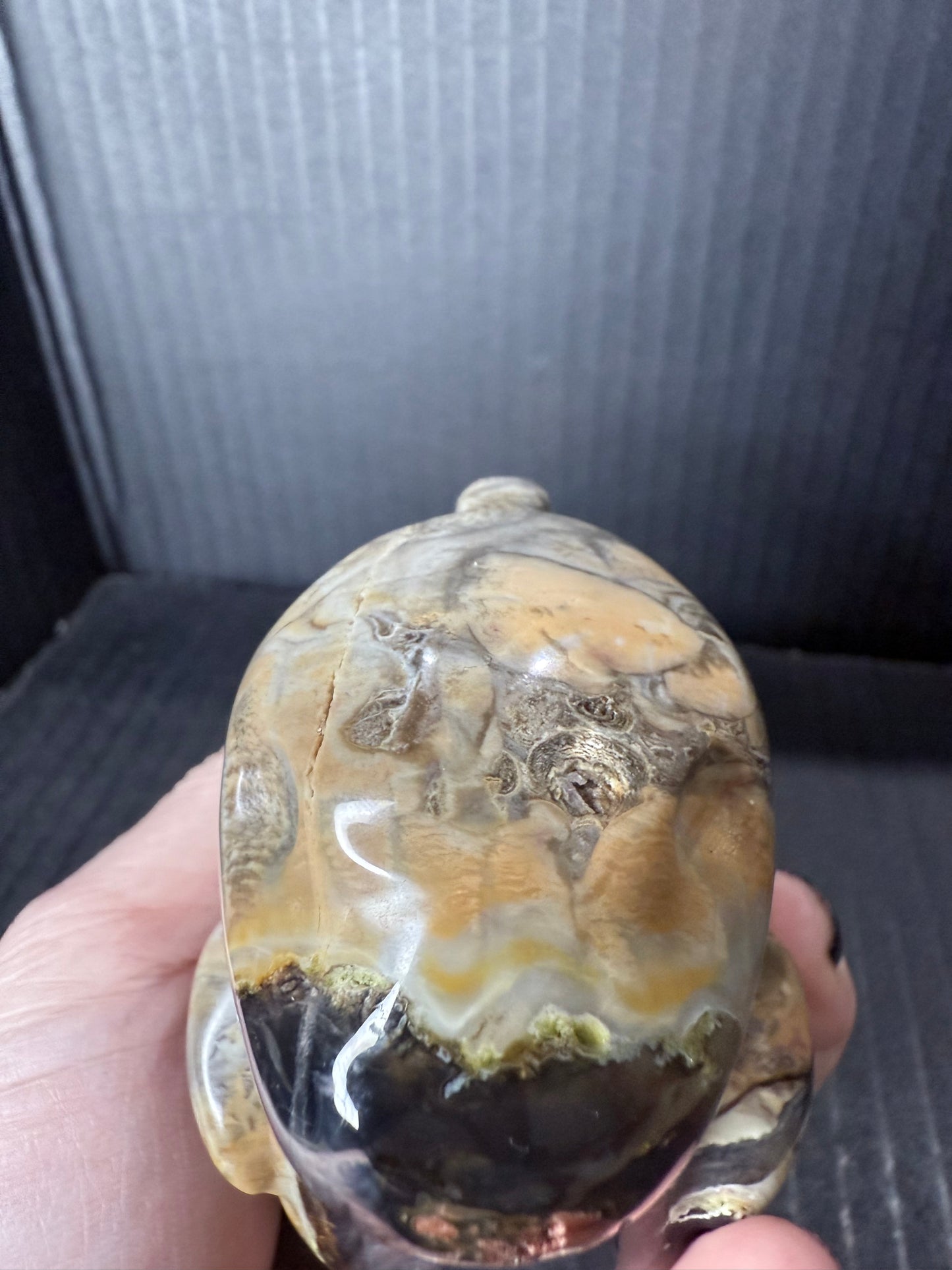 Volcano Agate T-Rex Dino