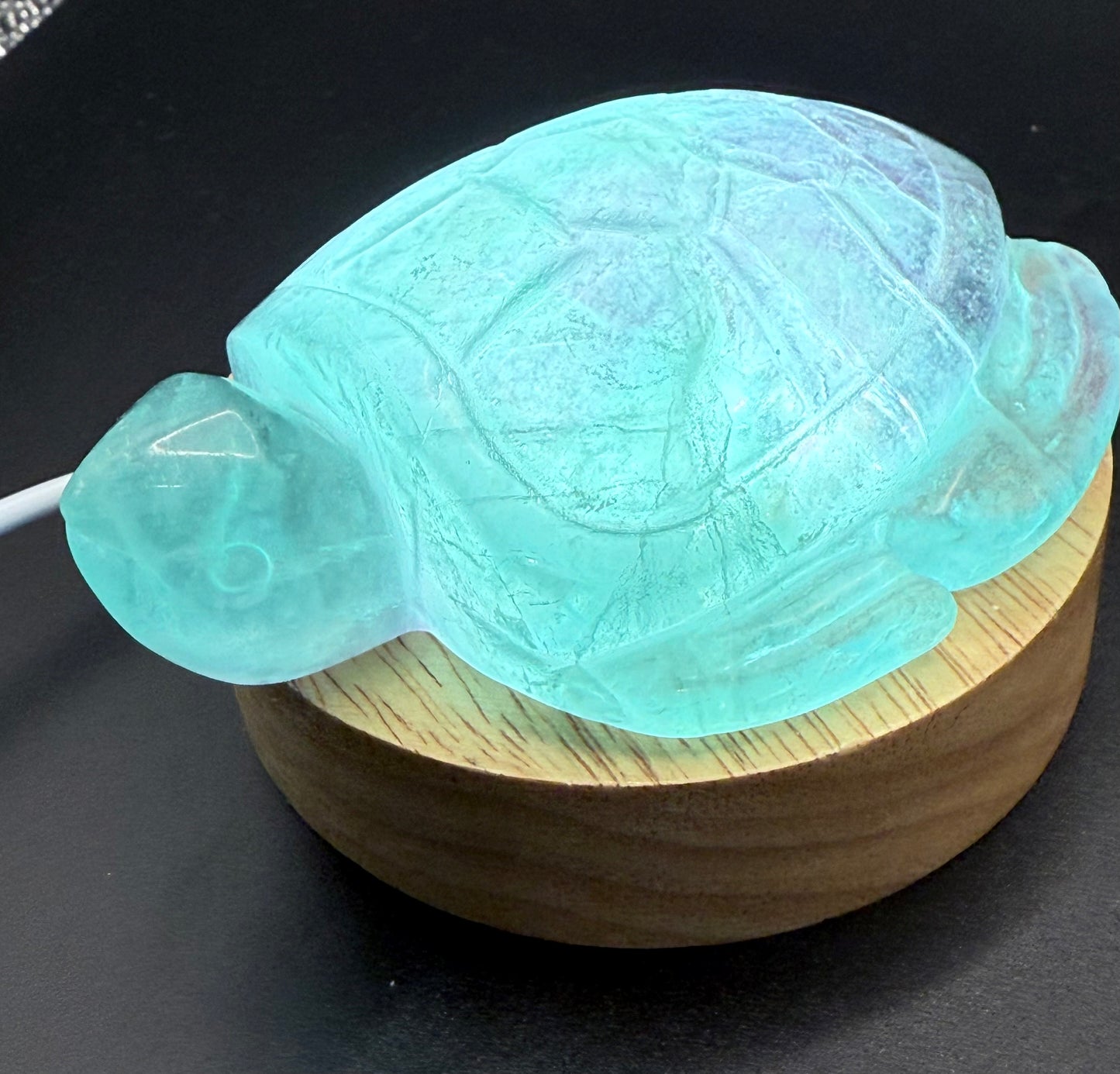 Aqua Fluorite Turtle Carving β 230g | 8.5 Γ 6.5cm