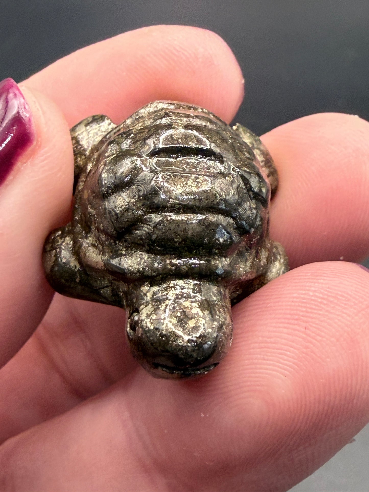 Pyrite Turtle β Strength, Luck & Protection
