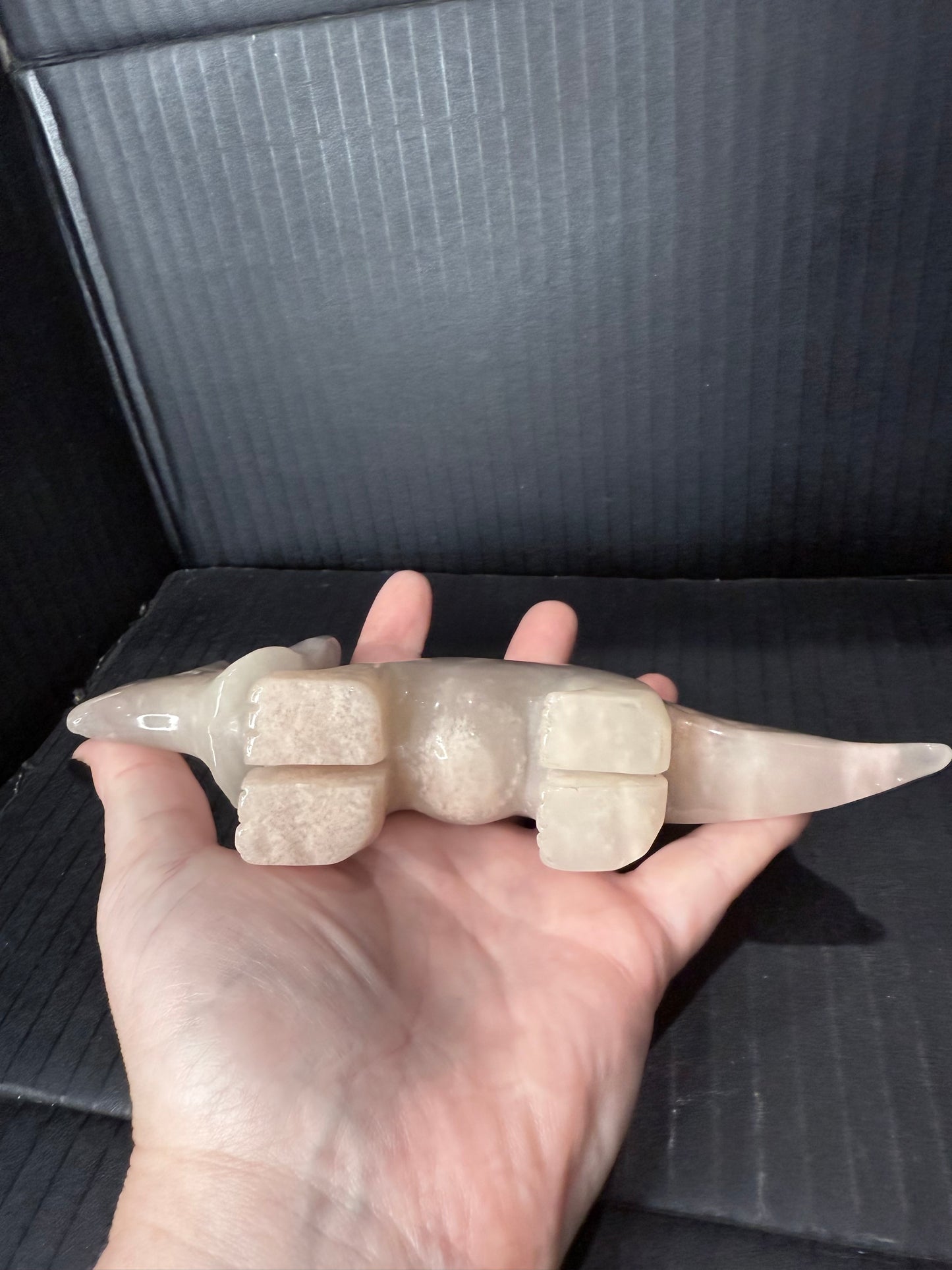 Flower Agate Triceratops Dino