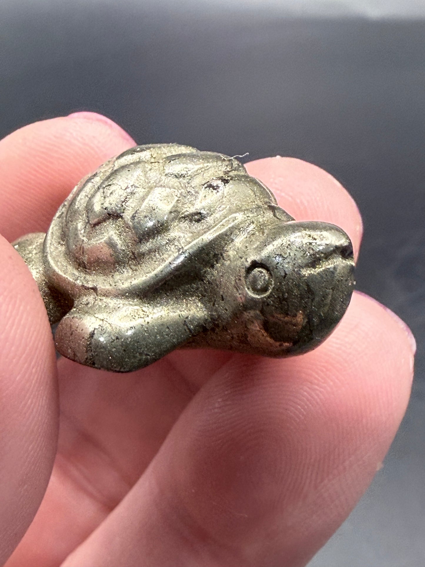 Pyrite Turtle β Strength, Luck & Protection
