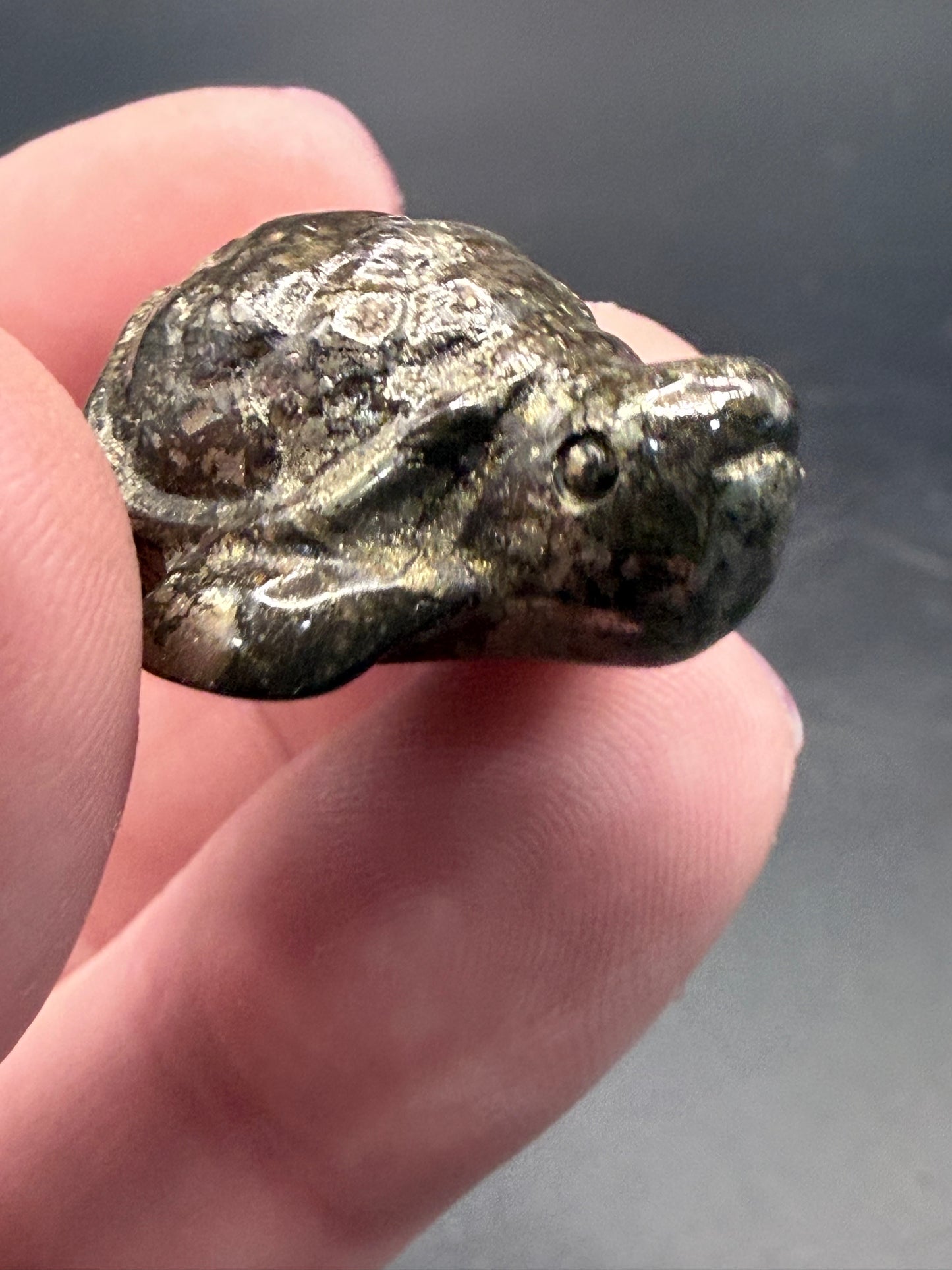 Pyrite Turtle β Strength, Luck & Protection