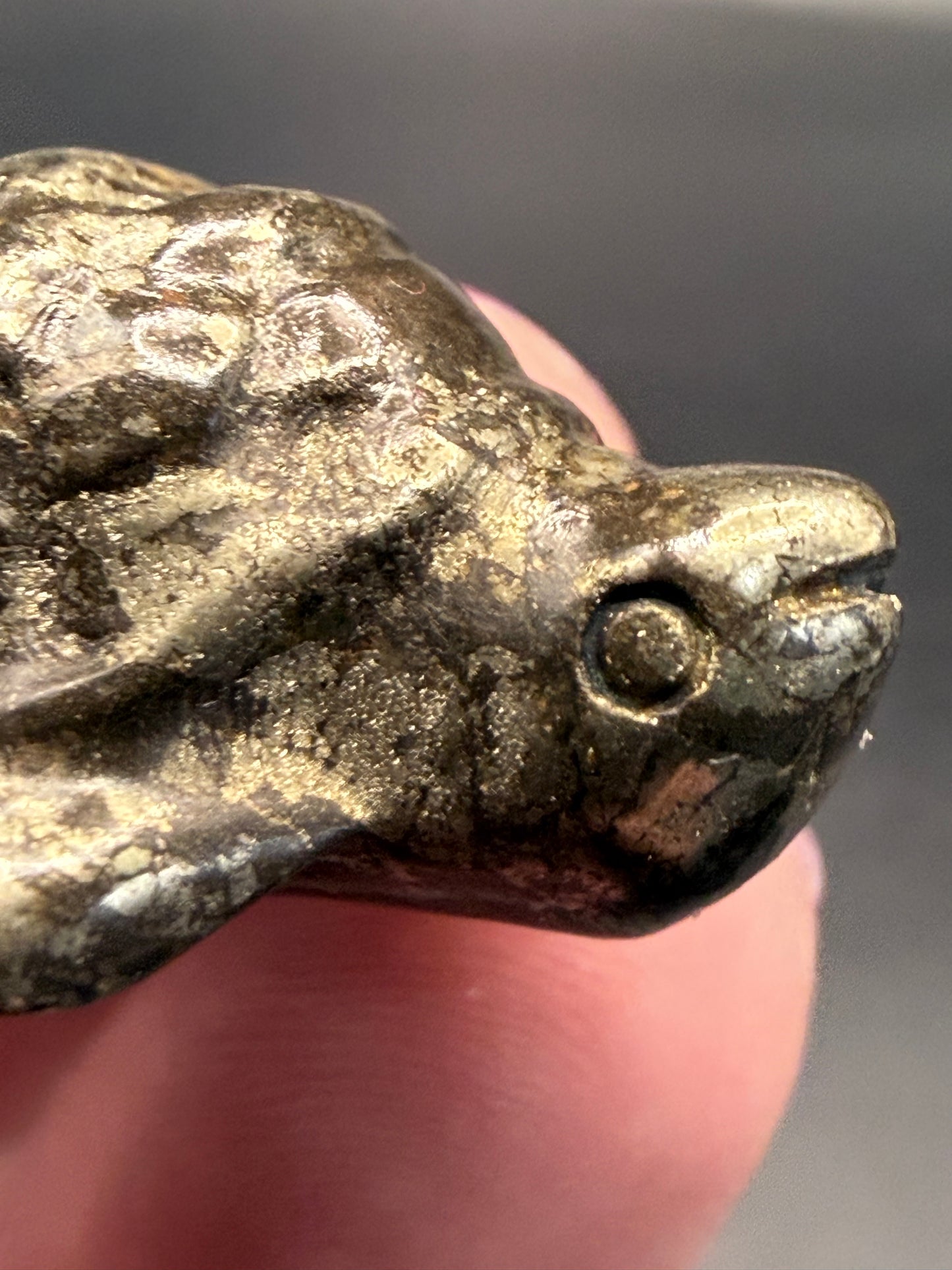 Pyrite Turtle β Strength, Luck & Protection
