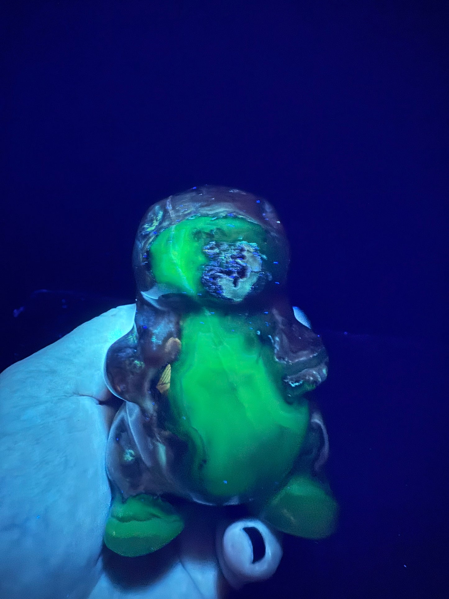 Volcano Agate T-Rex Dino