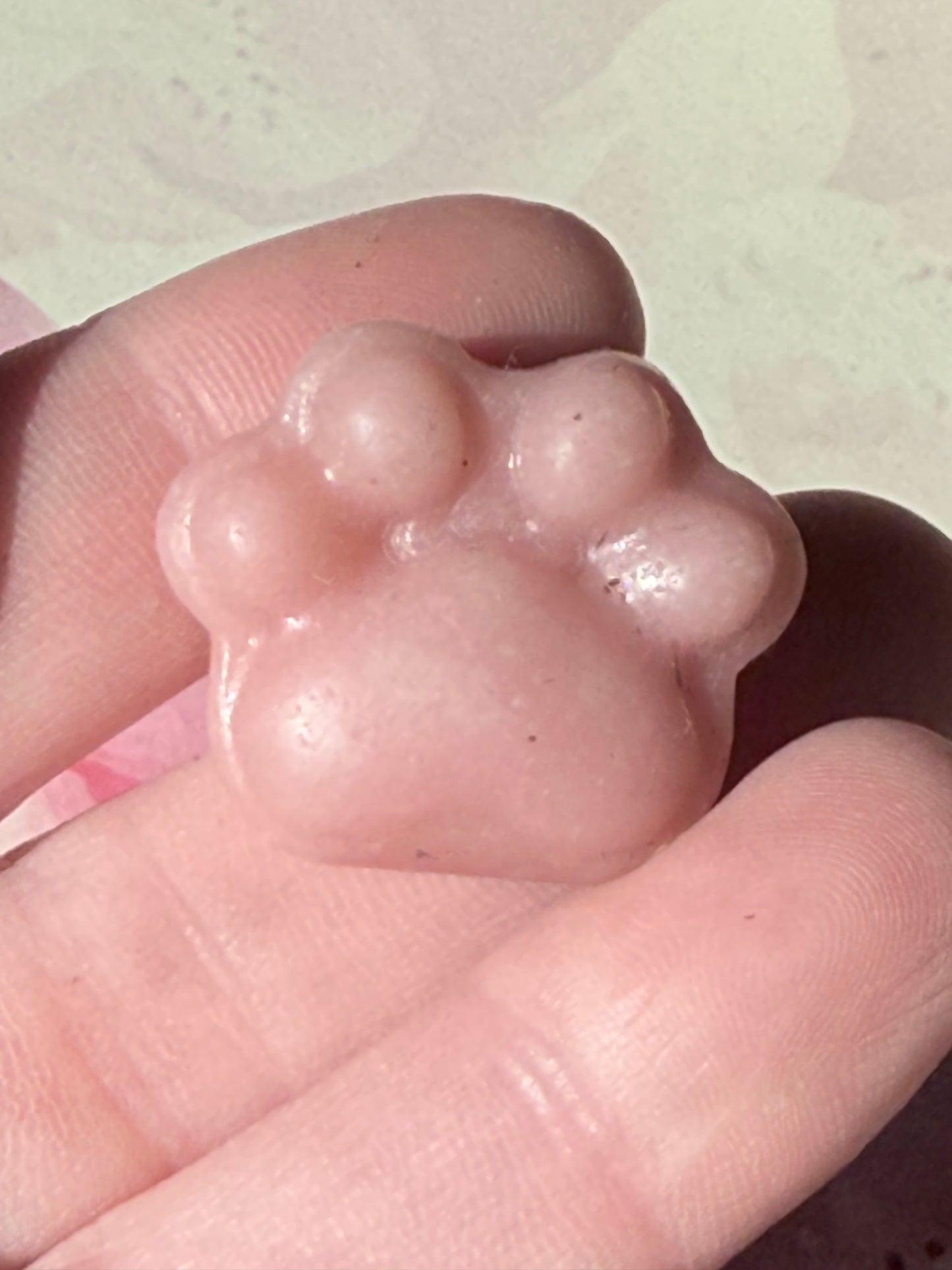 Mini Animal Paws