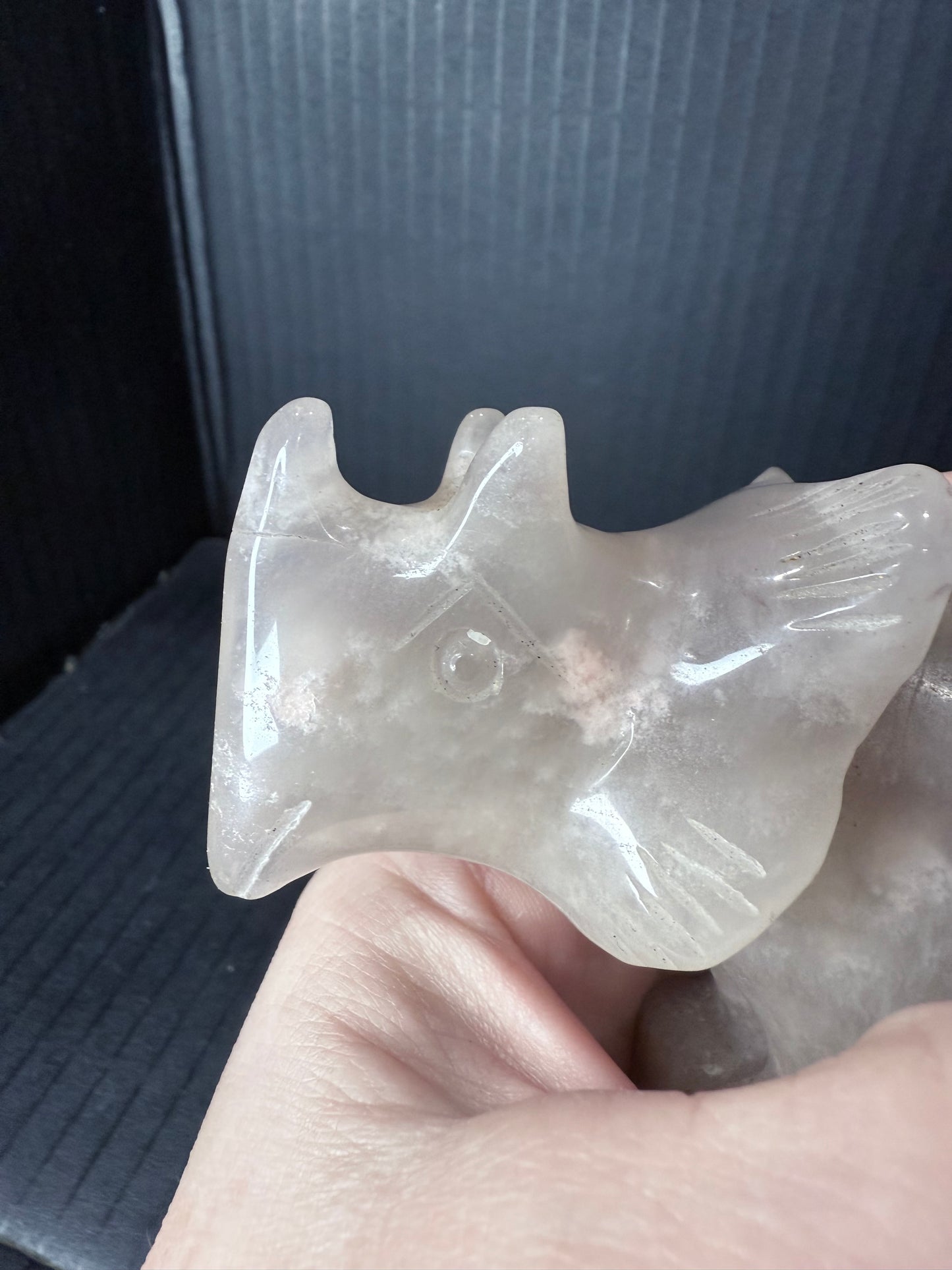 Flower Agate Triceratops Dino