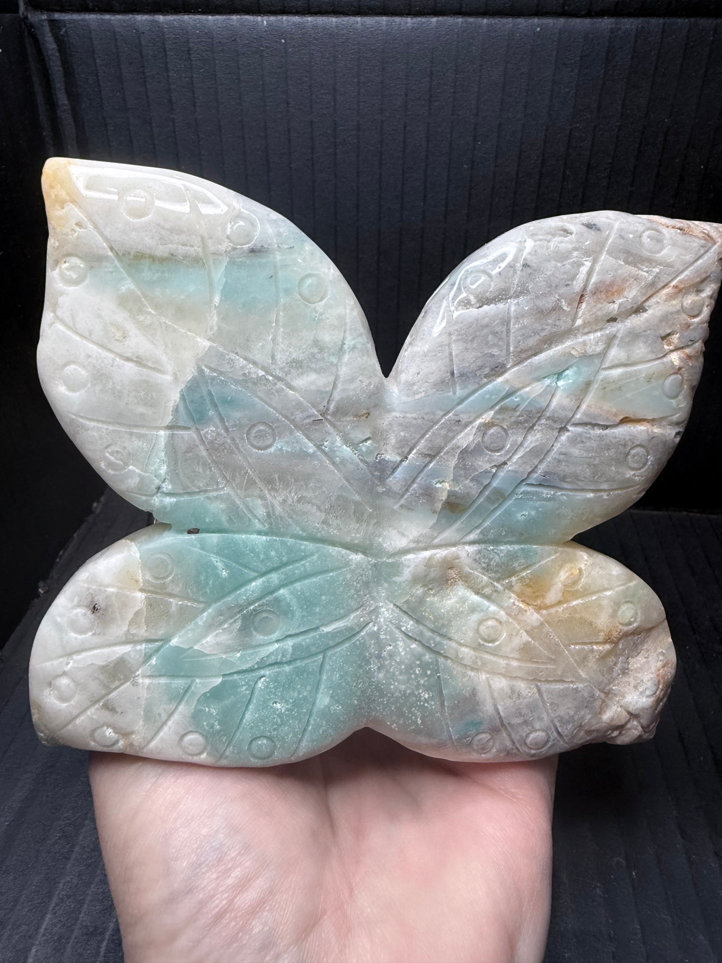 Caribbean Calcite Skull with wings