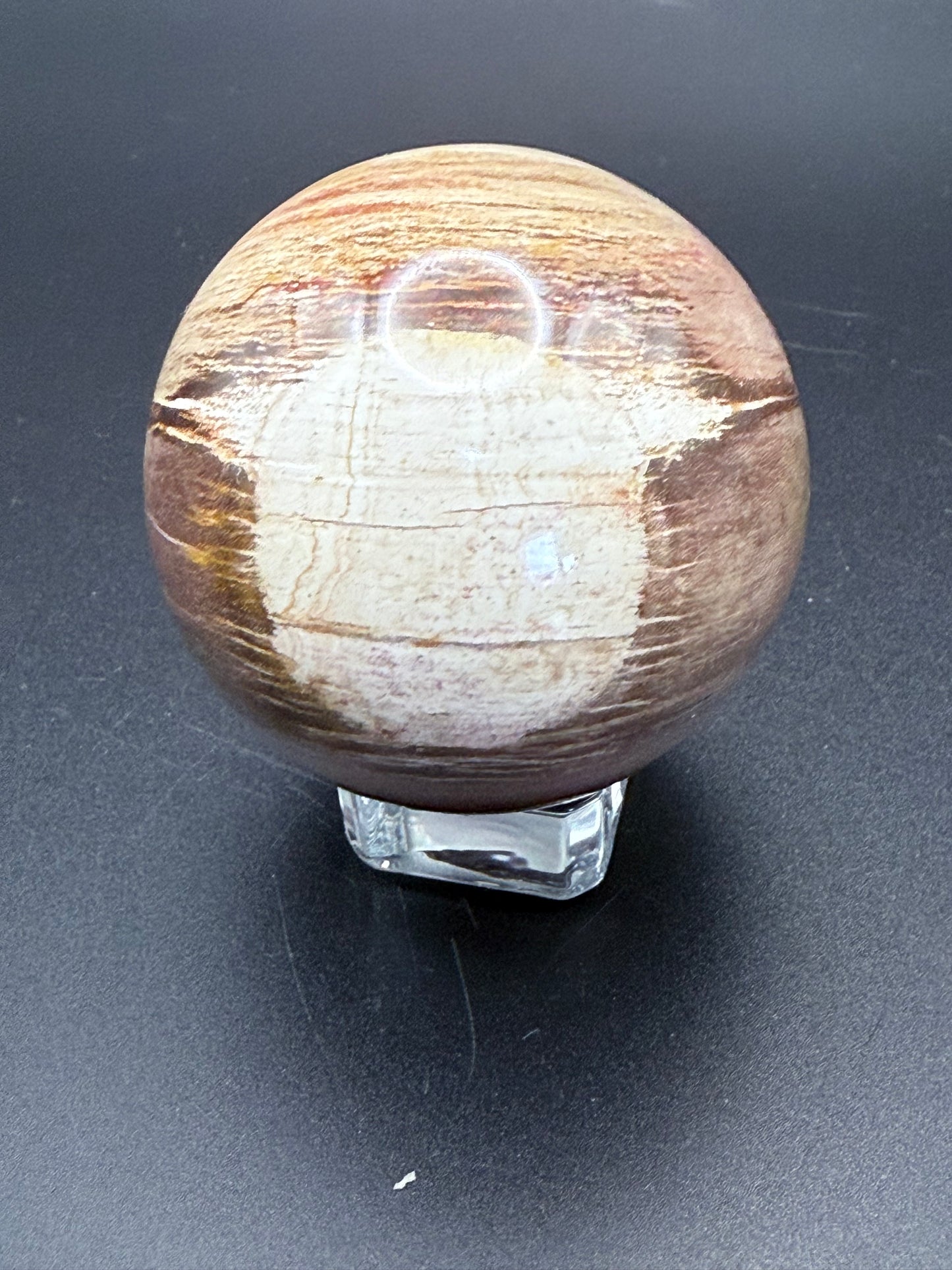 Petrified Wood Sphere