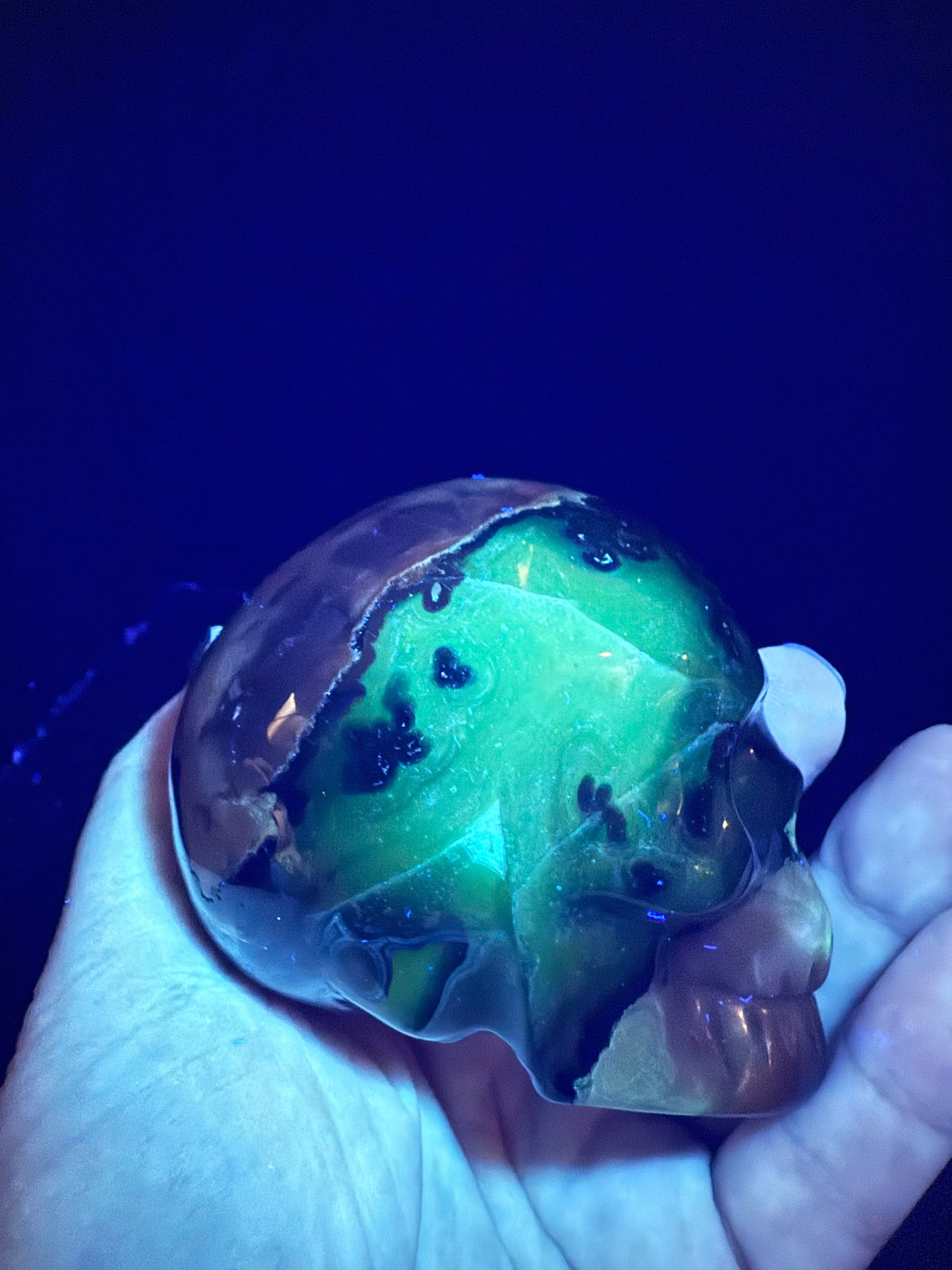 Volcano Agate Skull