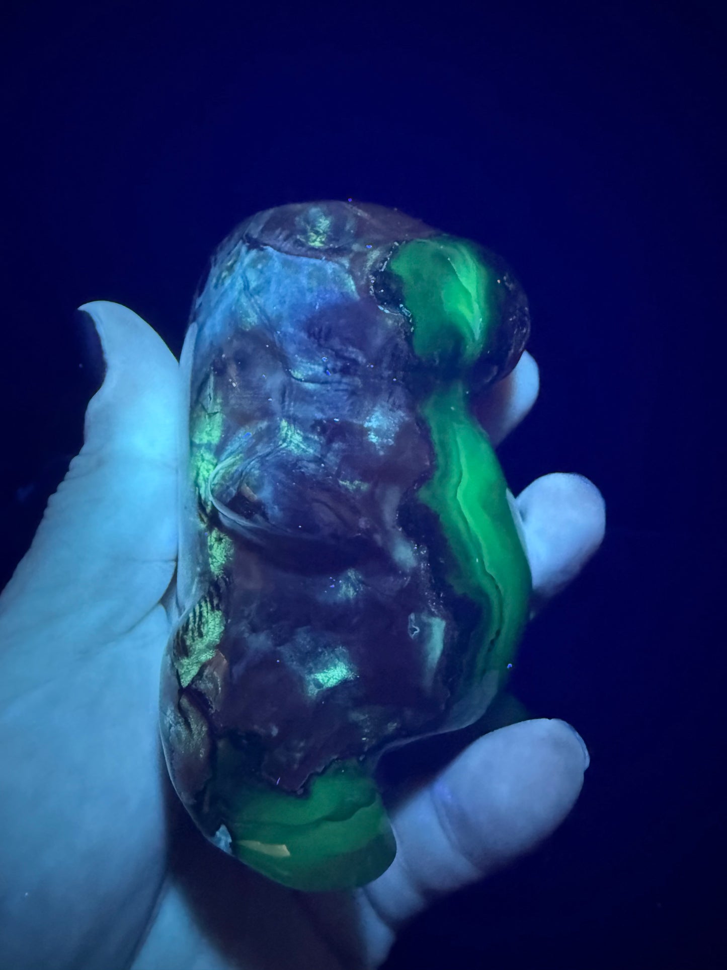 Volcano Agate T-Rex Dino