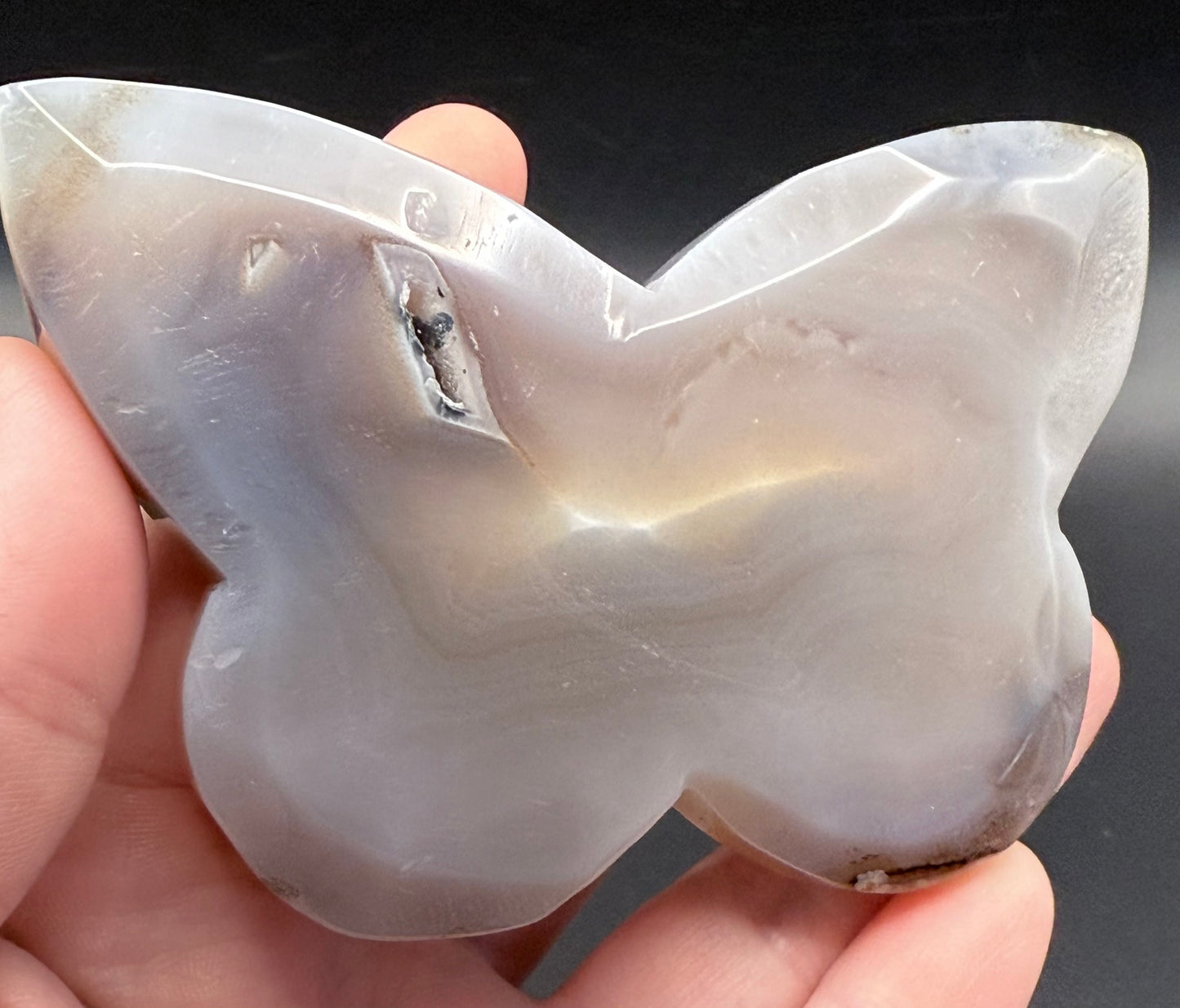 Agate Druzy Butterfly Carving