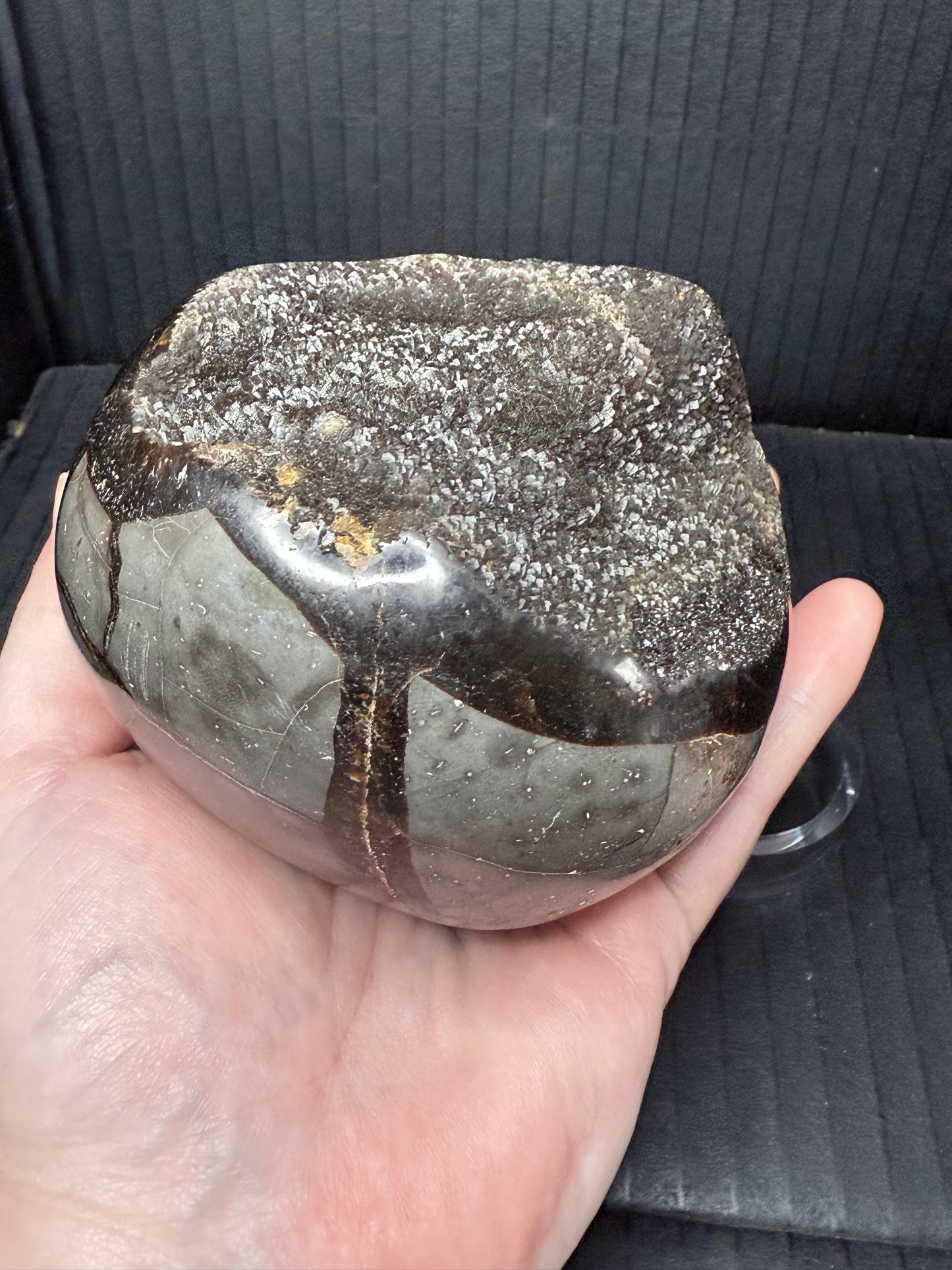 Septarian/dino Egg
