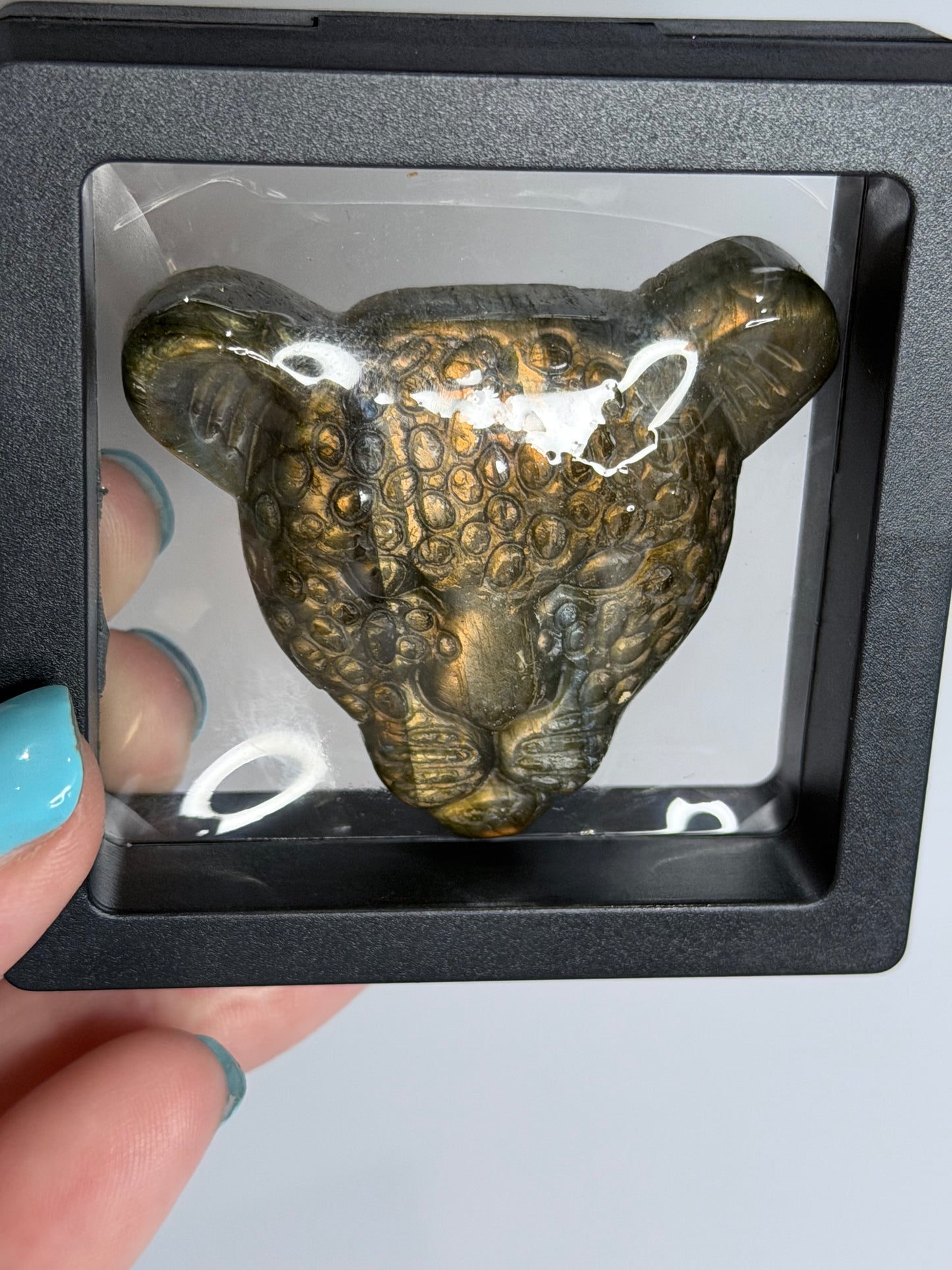 Labradorite Leopard Face Carving B -