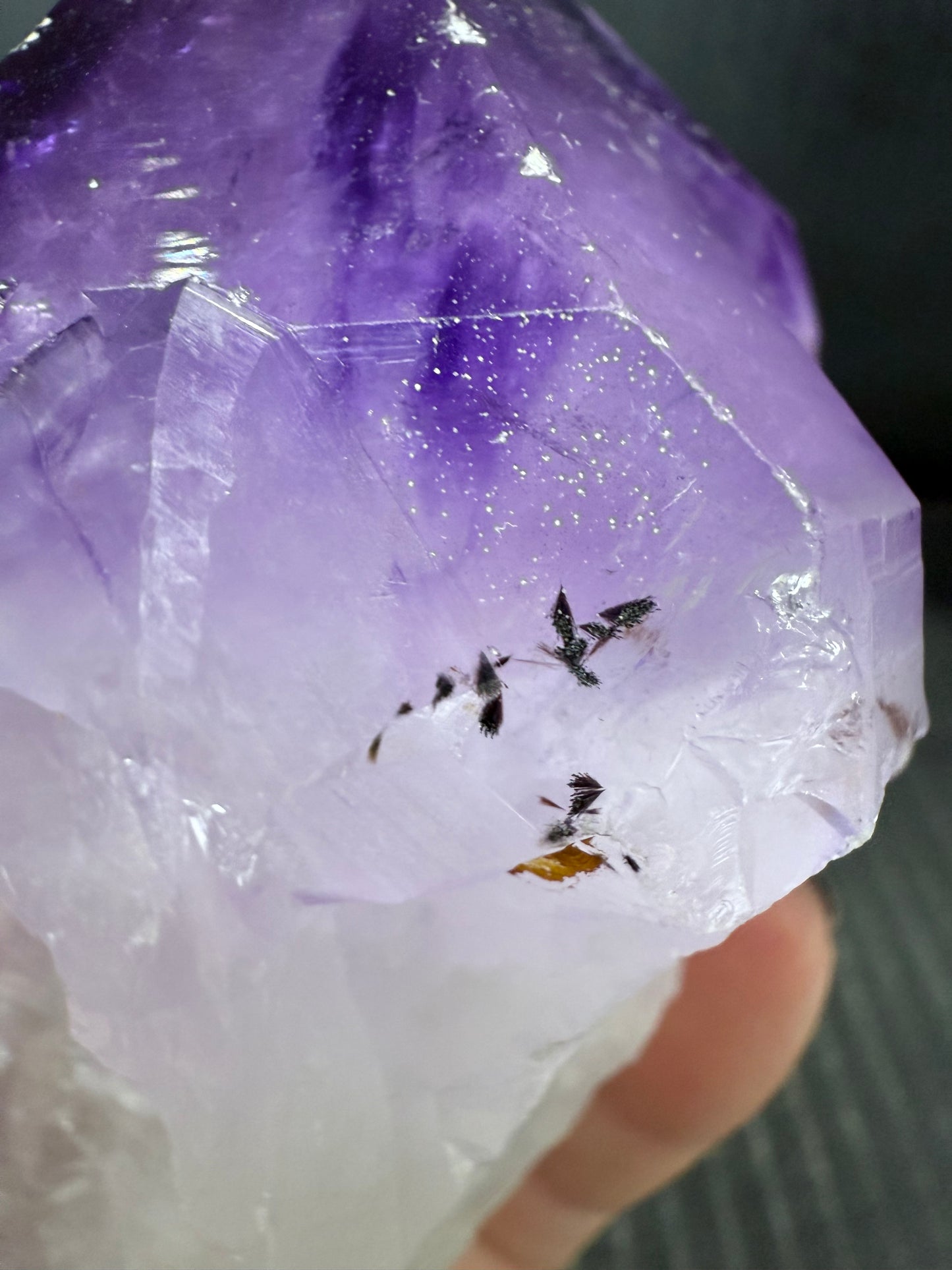 Amethyst Tooth with Custom made stand
