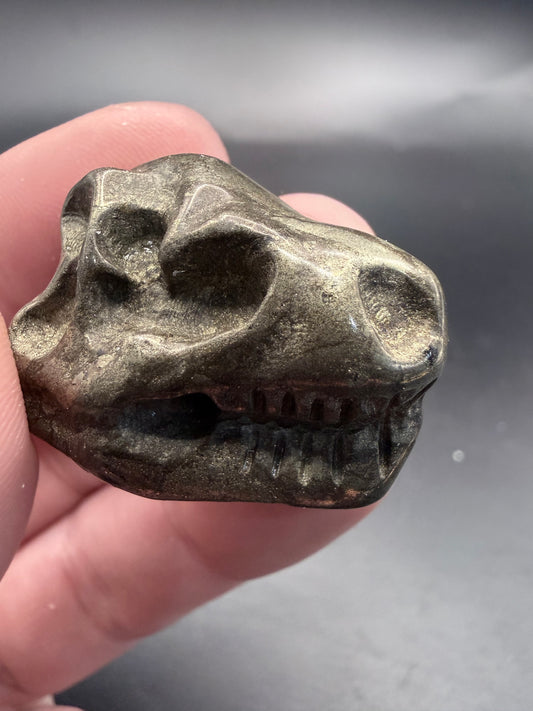 Dinosaur Skull Carvings