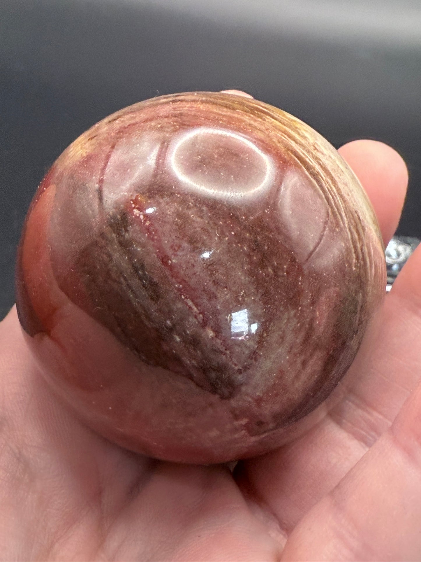 Petrified Wood Sphere