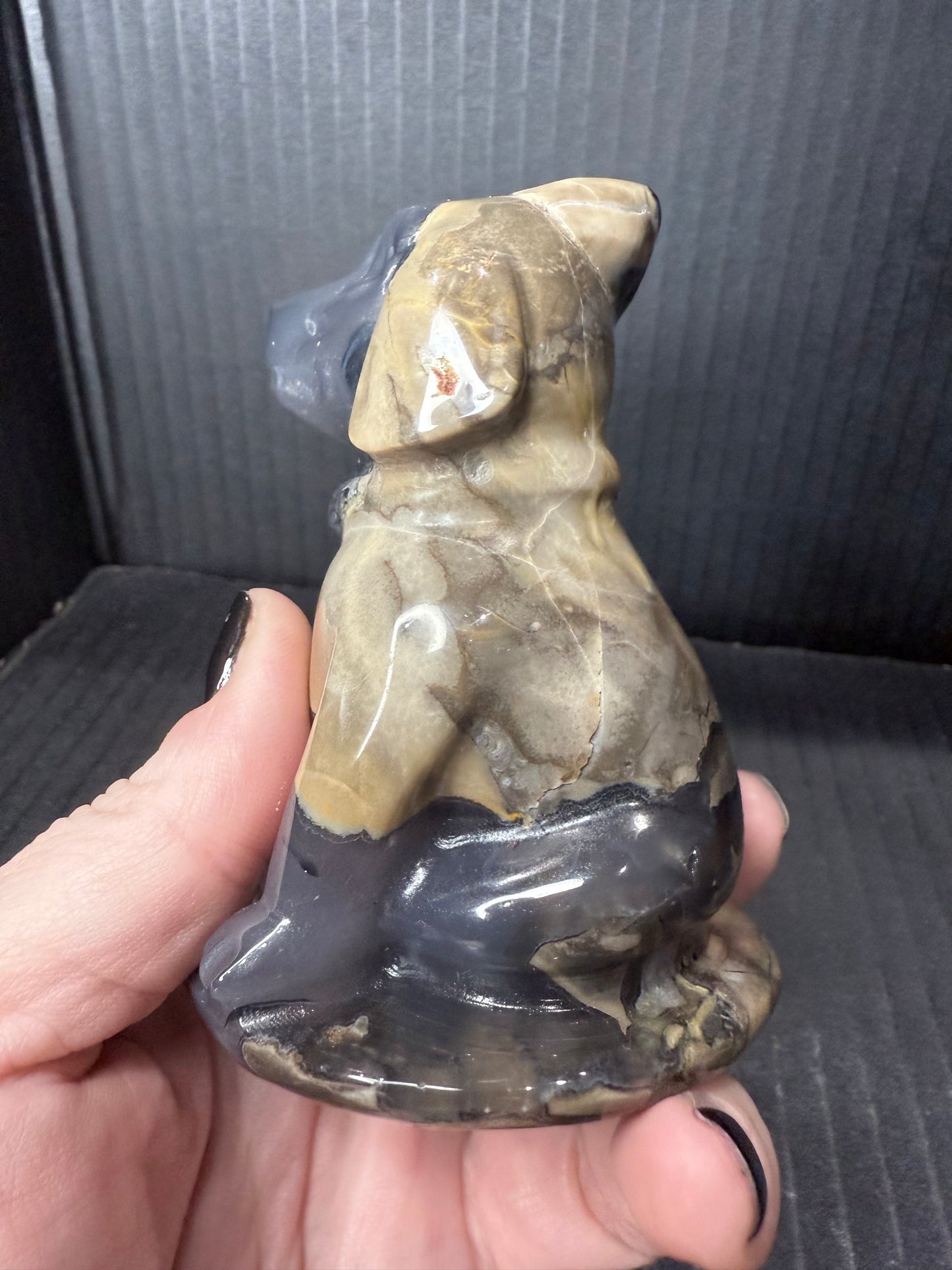 Volcano Agate Dog