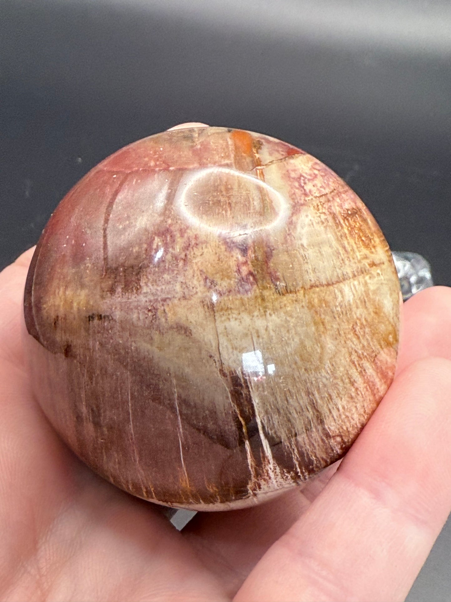 Petrified Wood Sphere
