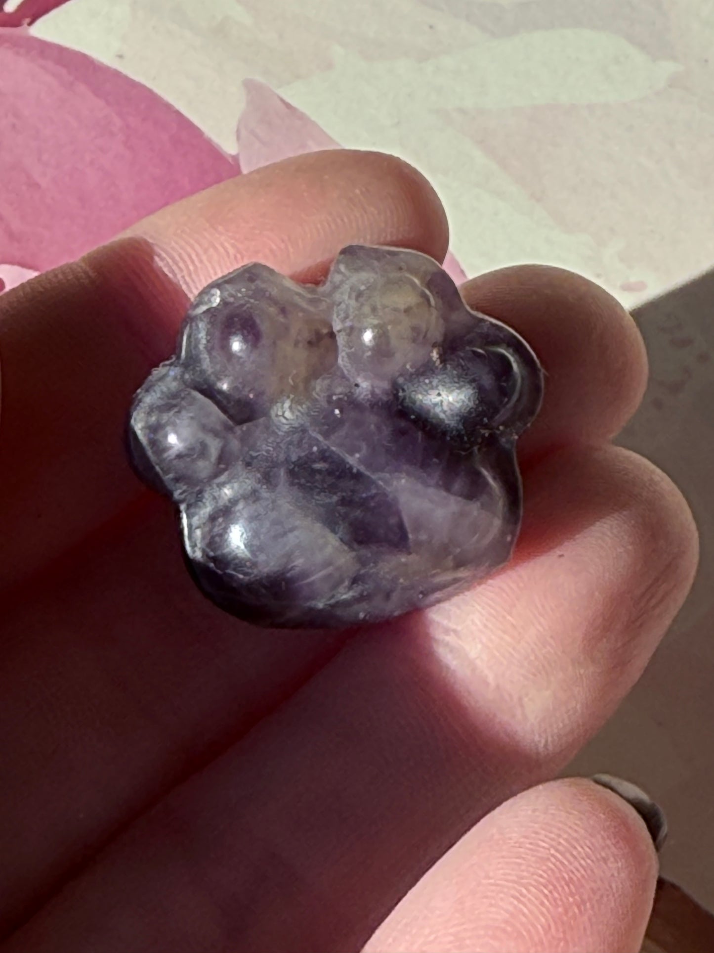Mini Animal Paws