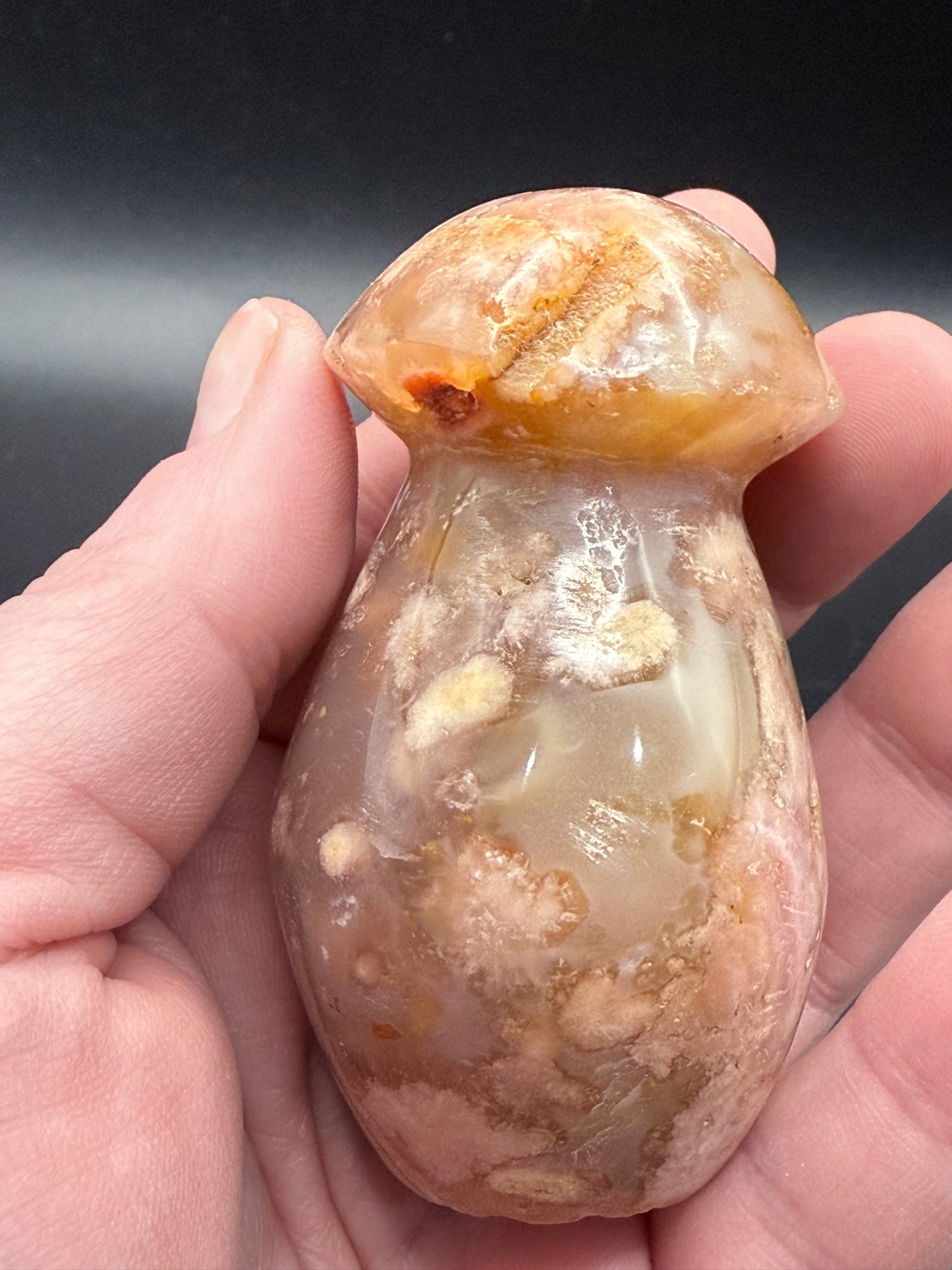 Sakura Flower Agate Mushrooms