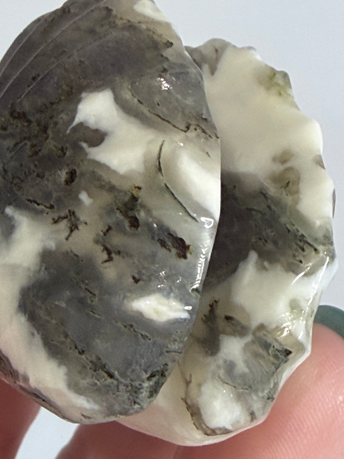 Moss Agate Clam Shell –