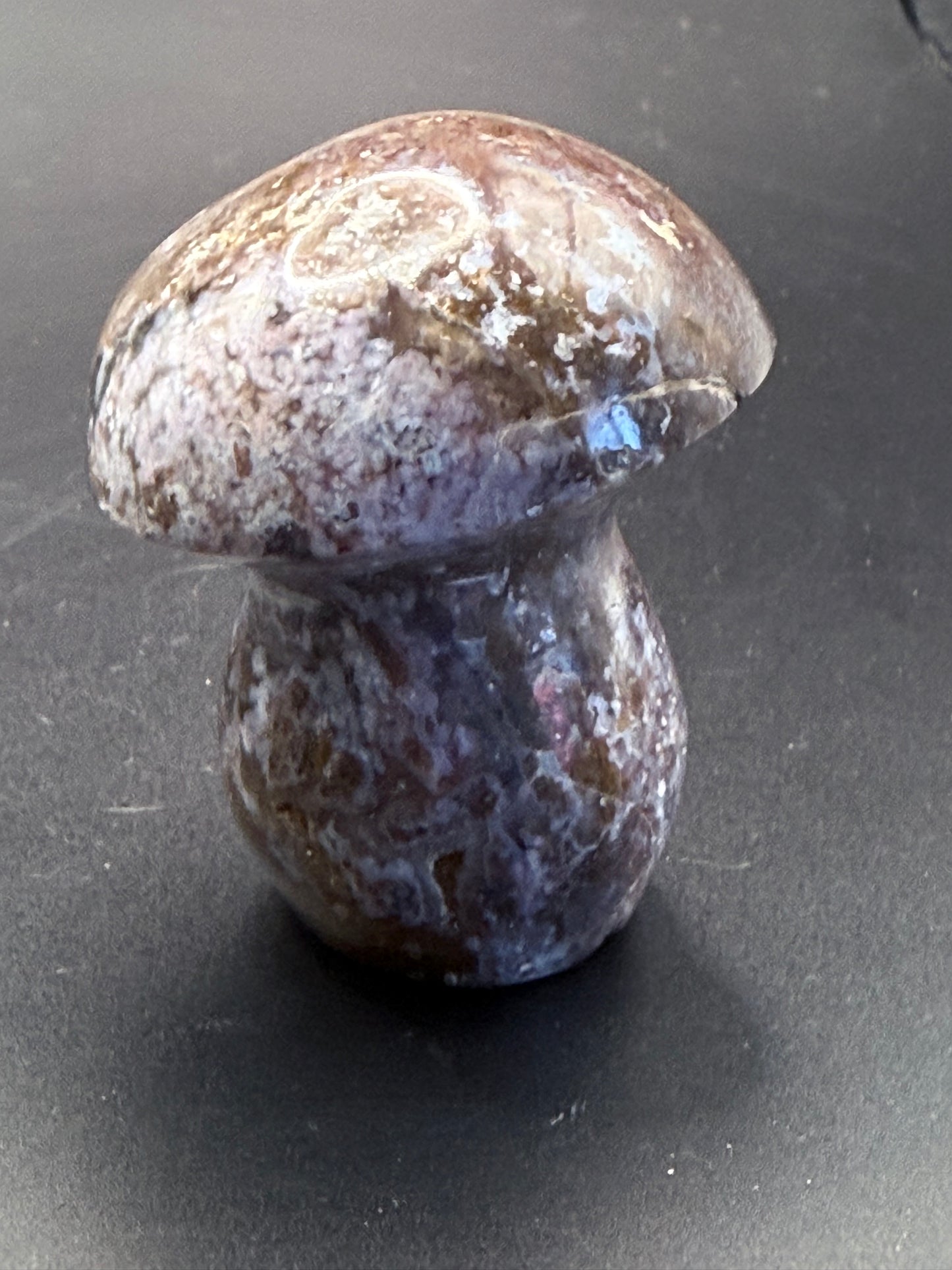 Ocean Jasper Mushroom Carving