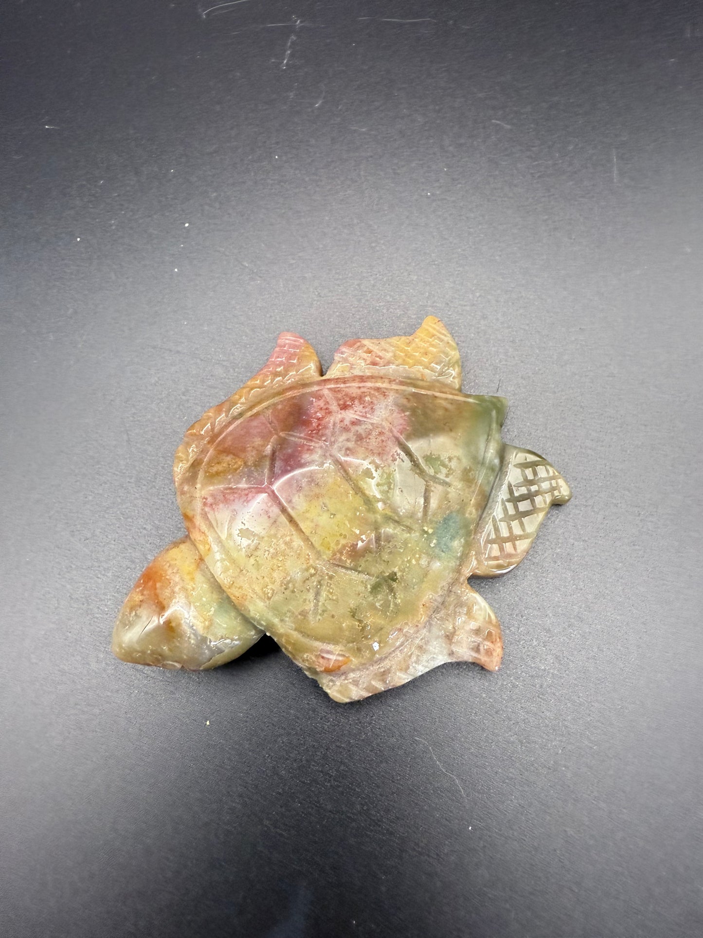Ocean Jasper Turtle
