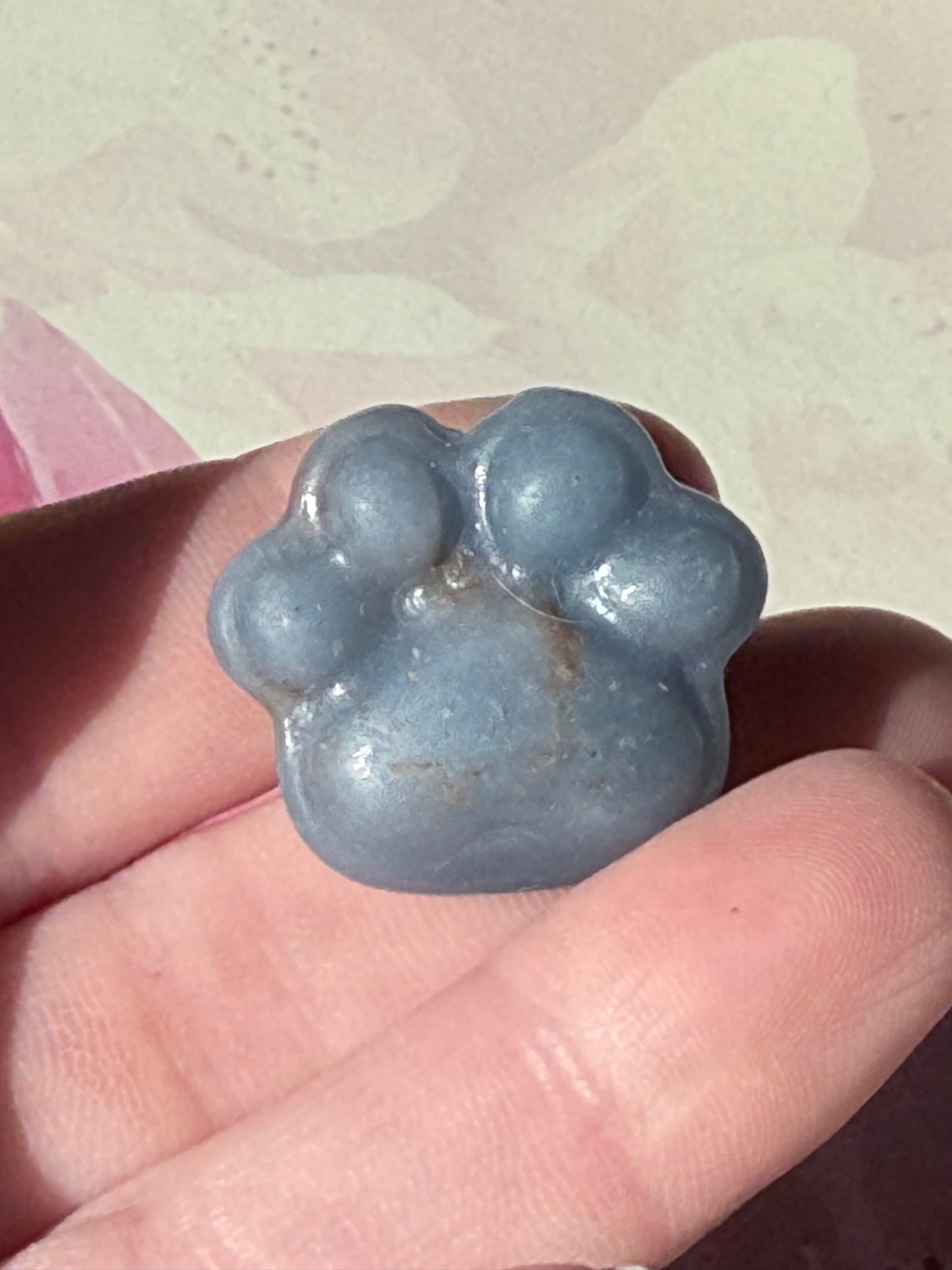 Mini Animal Paws