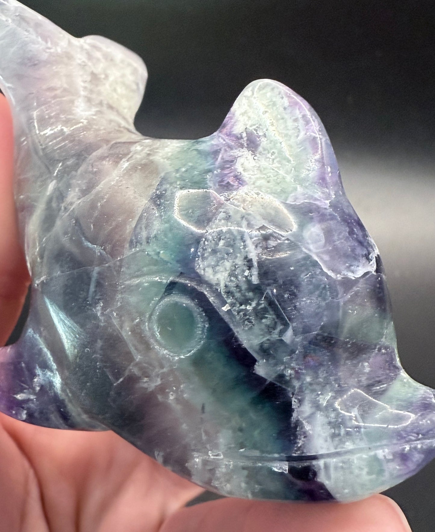 Rainbow Fluorite Dolphin Carving ā 172g | 8.6 x 4.7cm