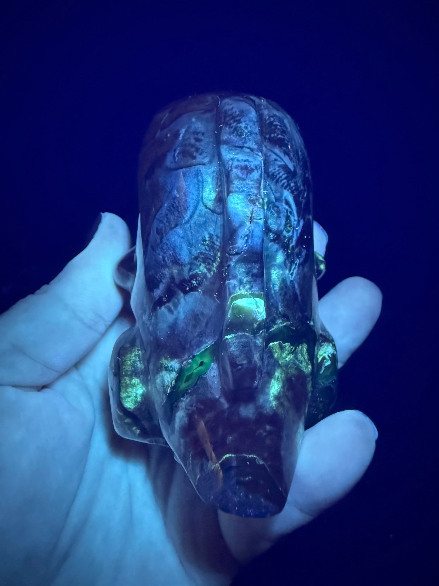 Volcano Agate T-Rex Dino
