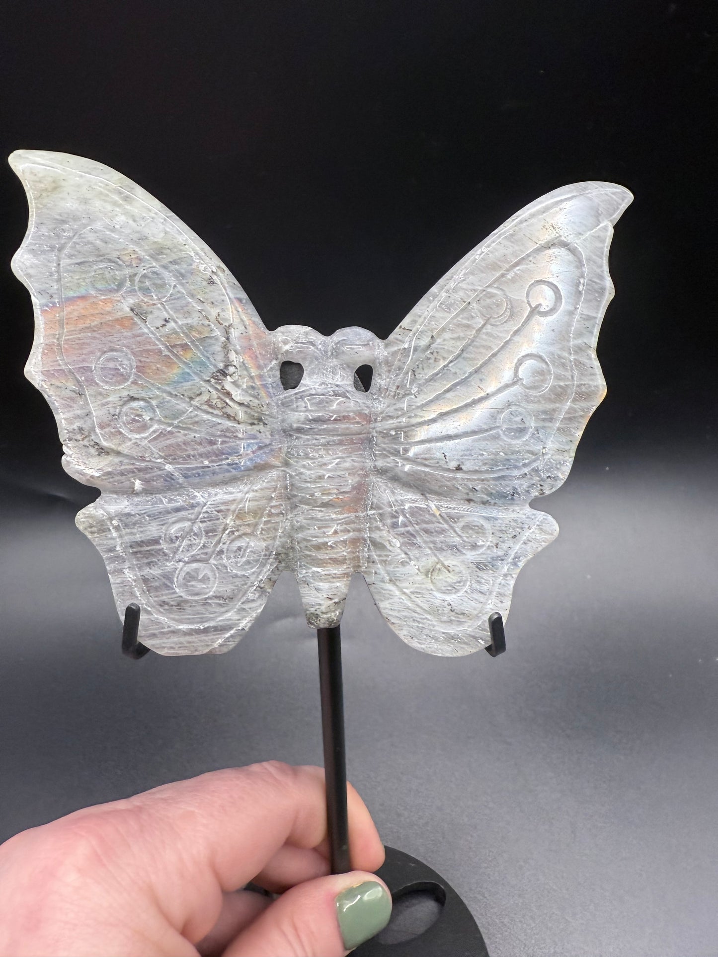 Rainbow Labradorite Butterfly on Stand