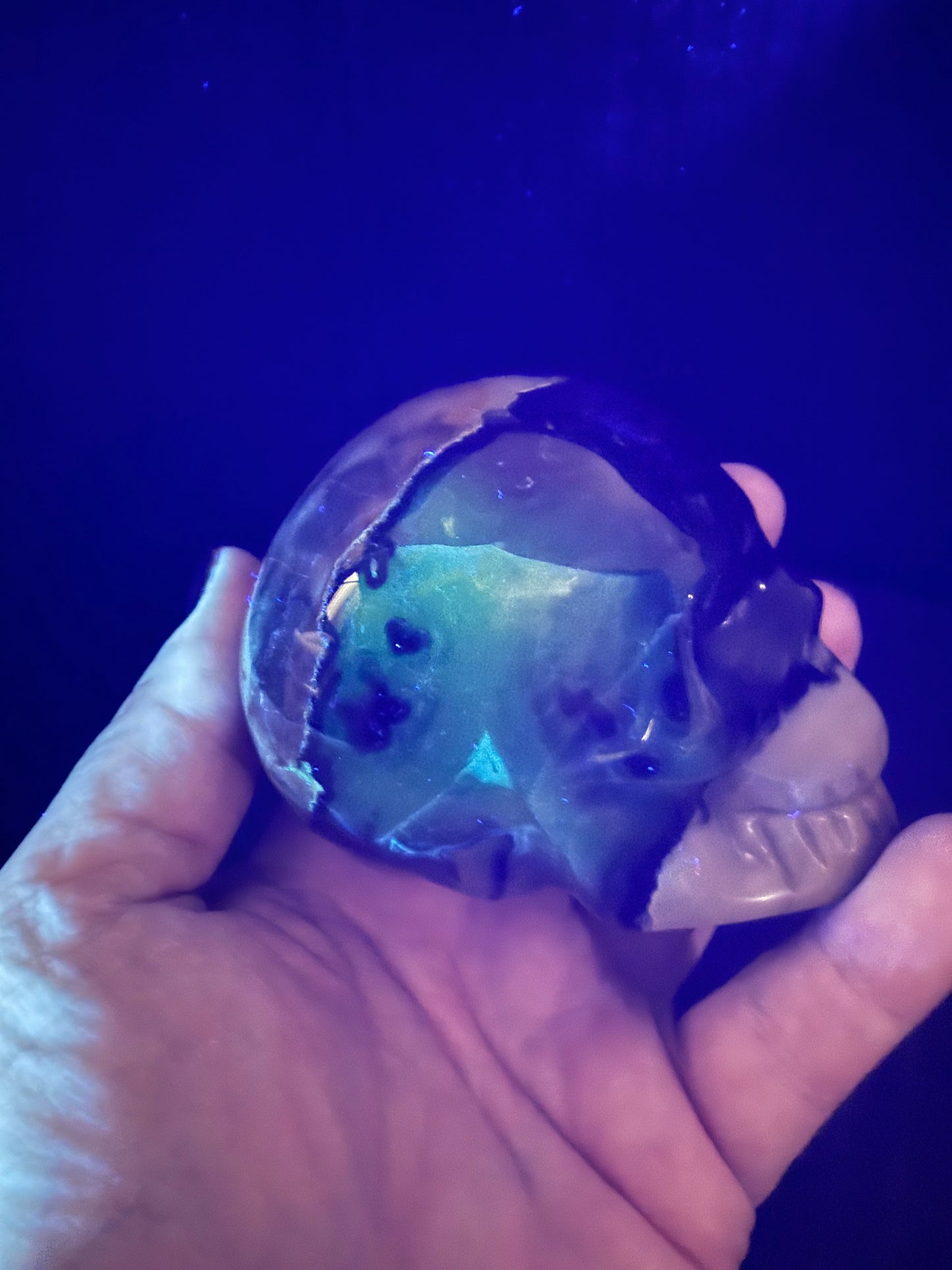Volcano Agate Skull