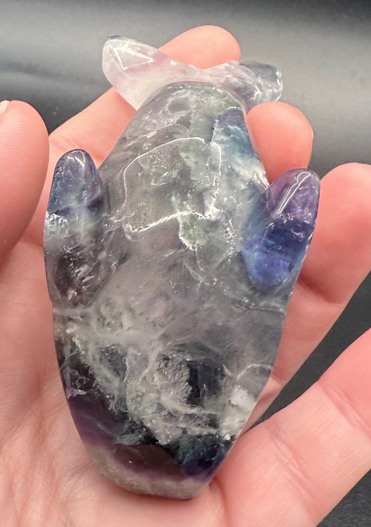 Rainbow Fluorite Dolphin Carving ā 172g | 8.6 x 4.7cm