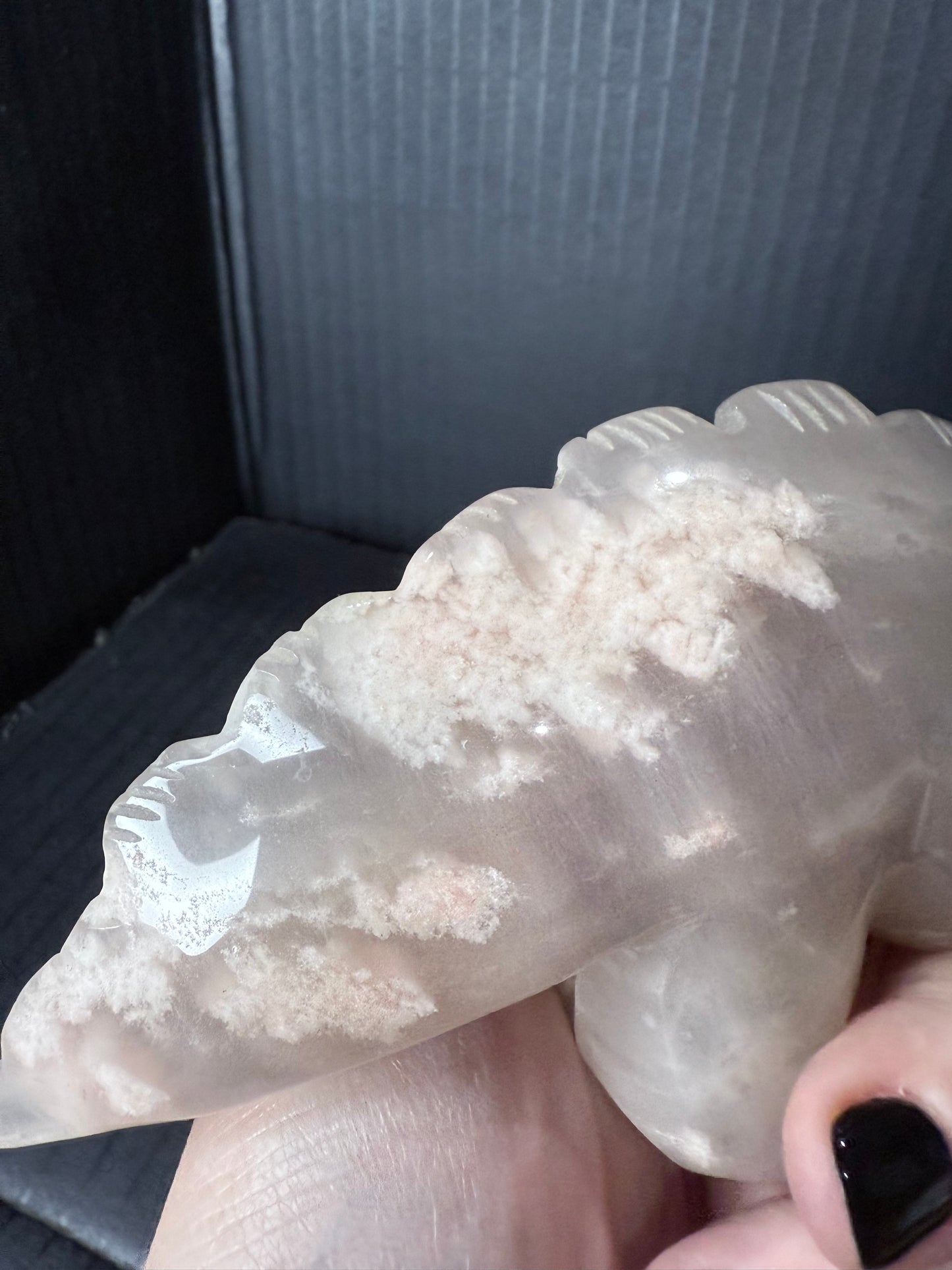 Flower Agate Triceratops Dino