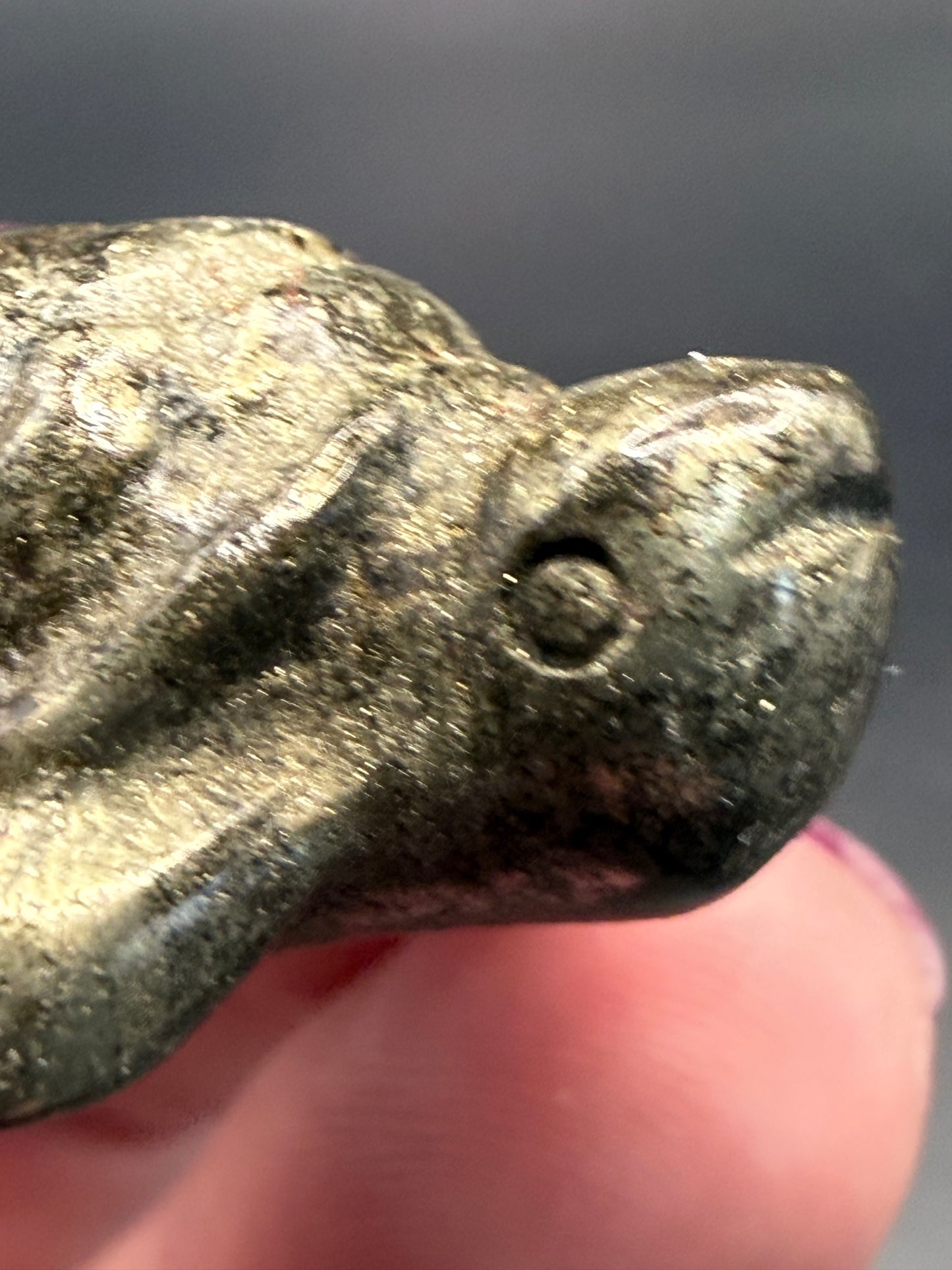 Pyrite Turtle β Strength, Luck & Protection