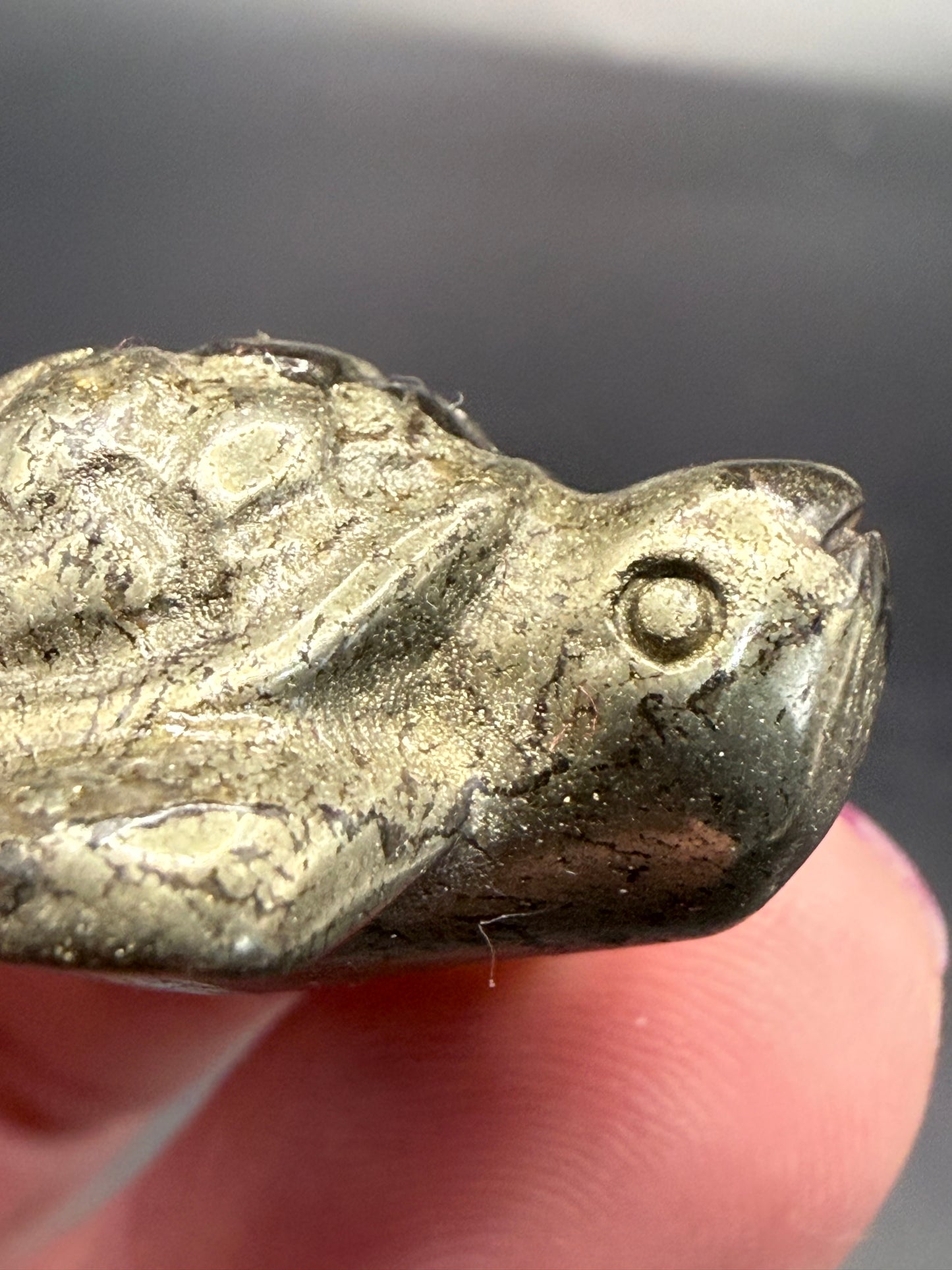 Pyrite Turtle β Strength, Luck & Protection