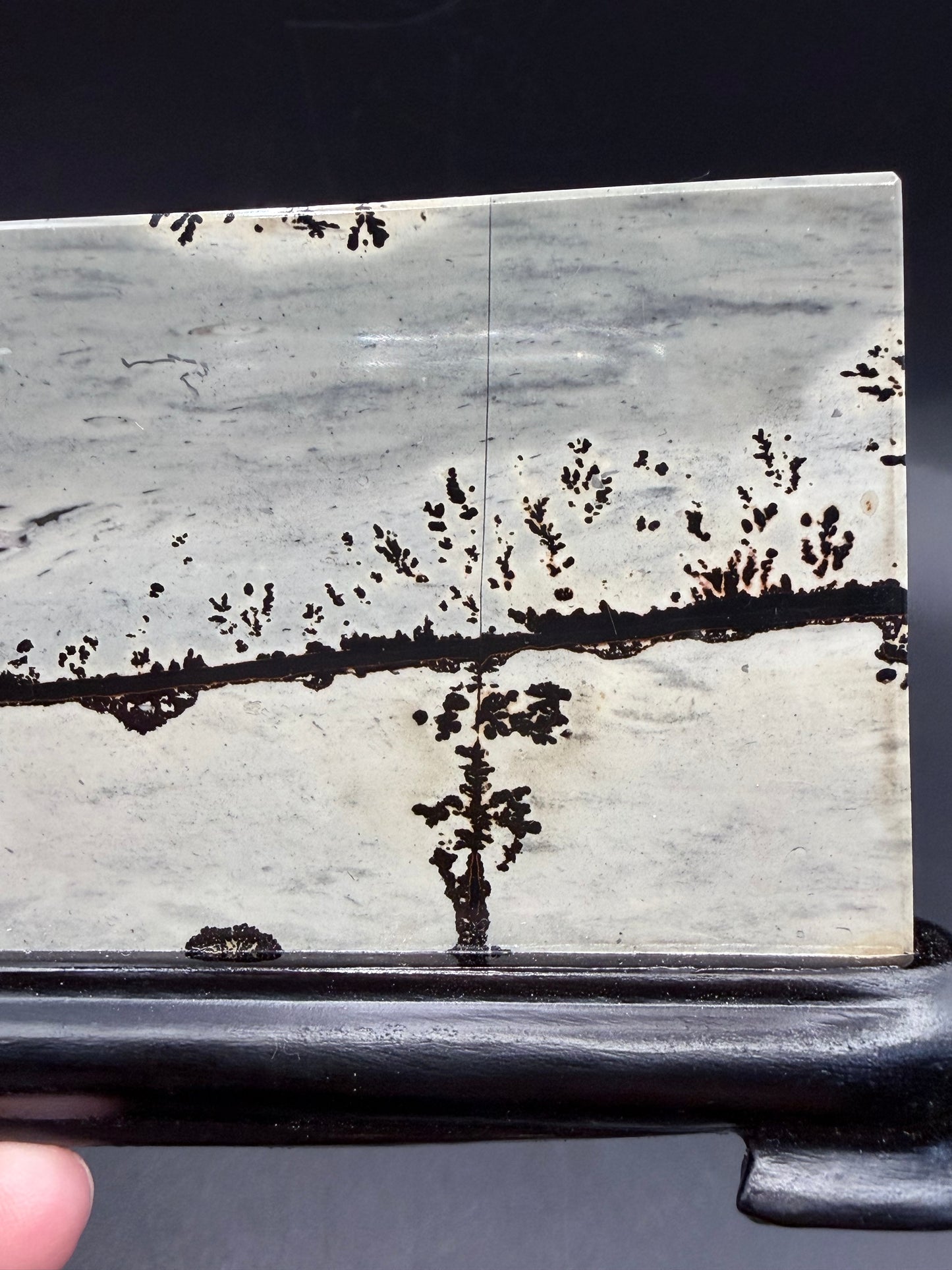 Dendritic Picture Jasper Slab on Stand